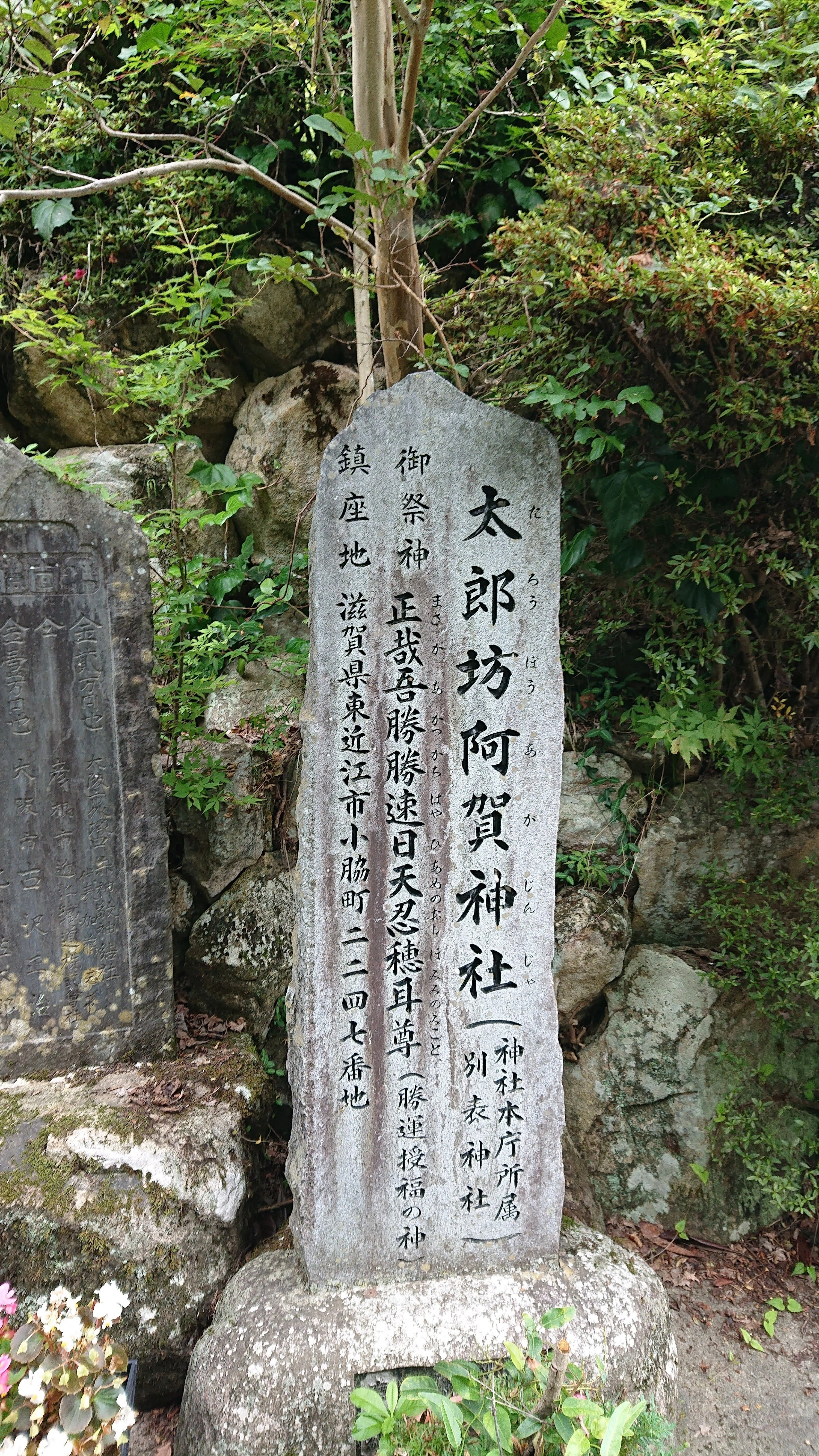 滋賀・太郎坊宮 (阿賀神社)｜愛宕山へ繋がる、天狗と磐座の記憶｜しま