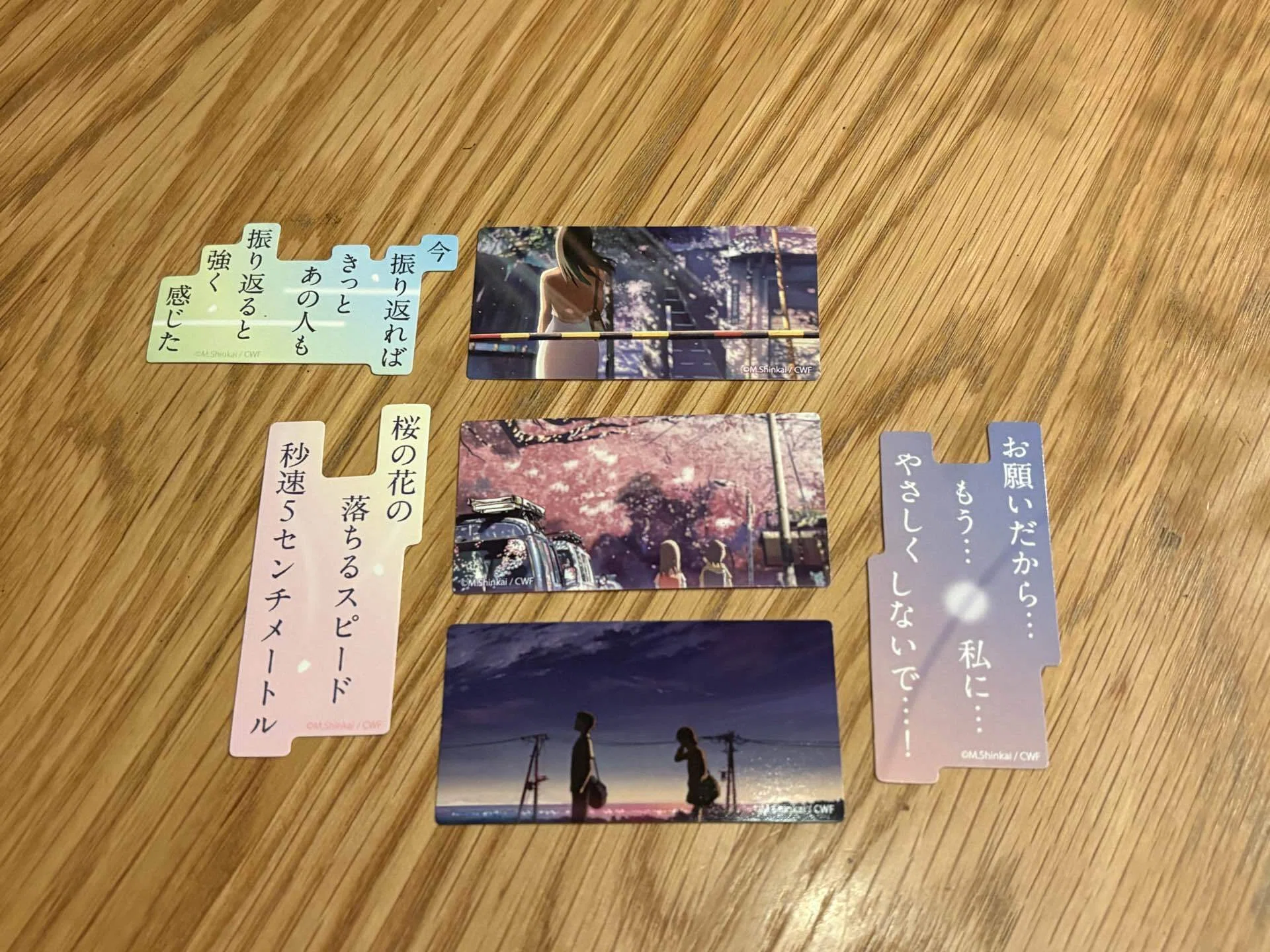秒速5センチメートル』再上映でずっと欲しかったパンフレットに出会え
