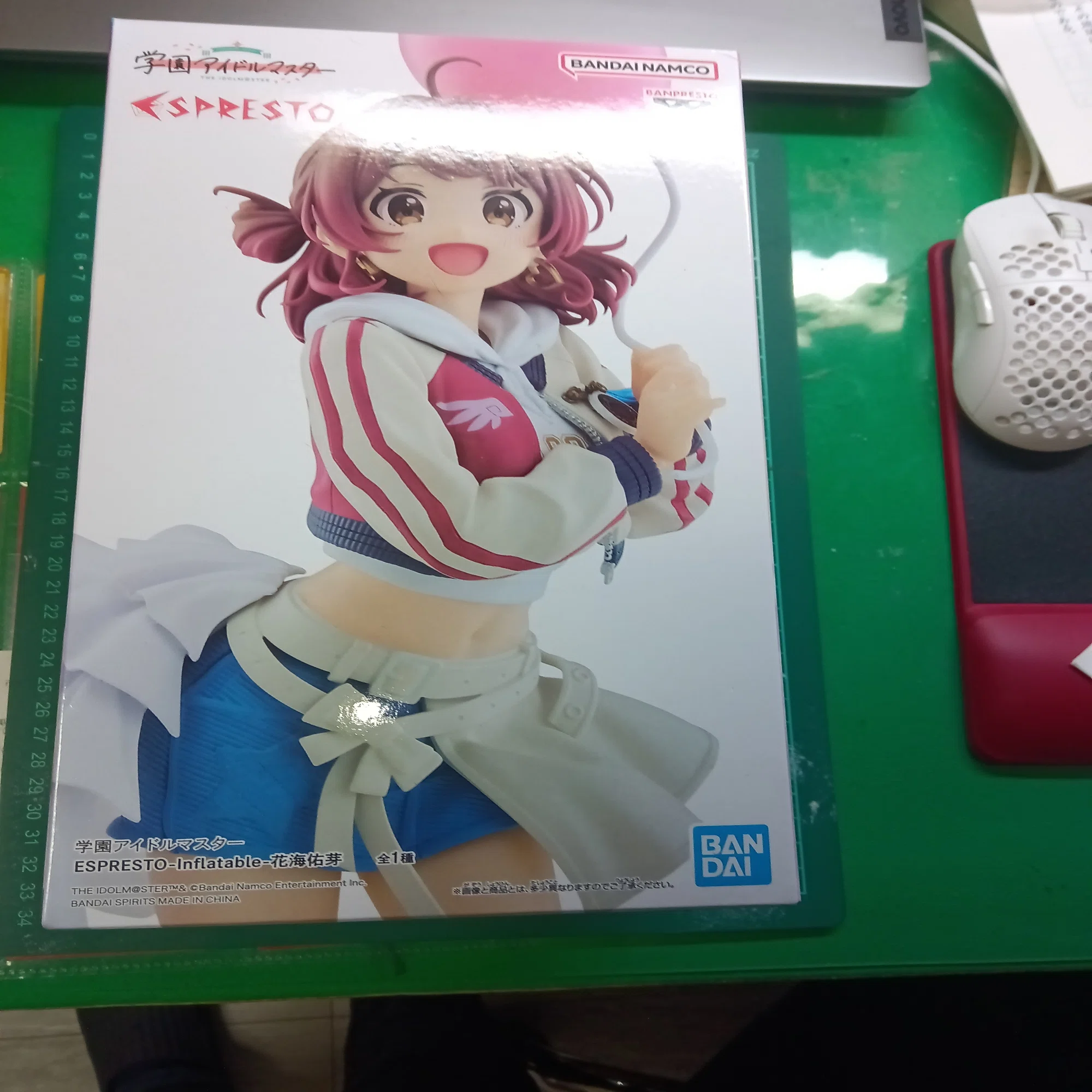 人生初美少女フィギュア＋100均ディスプレイケースの高さが足りなかっ 