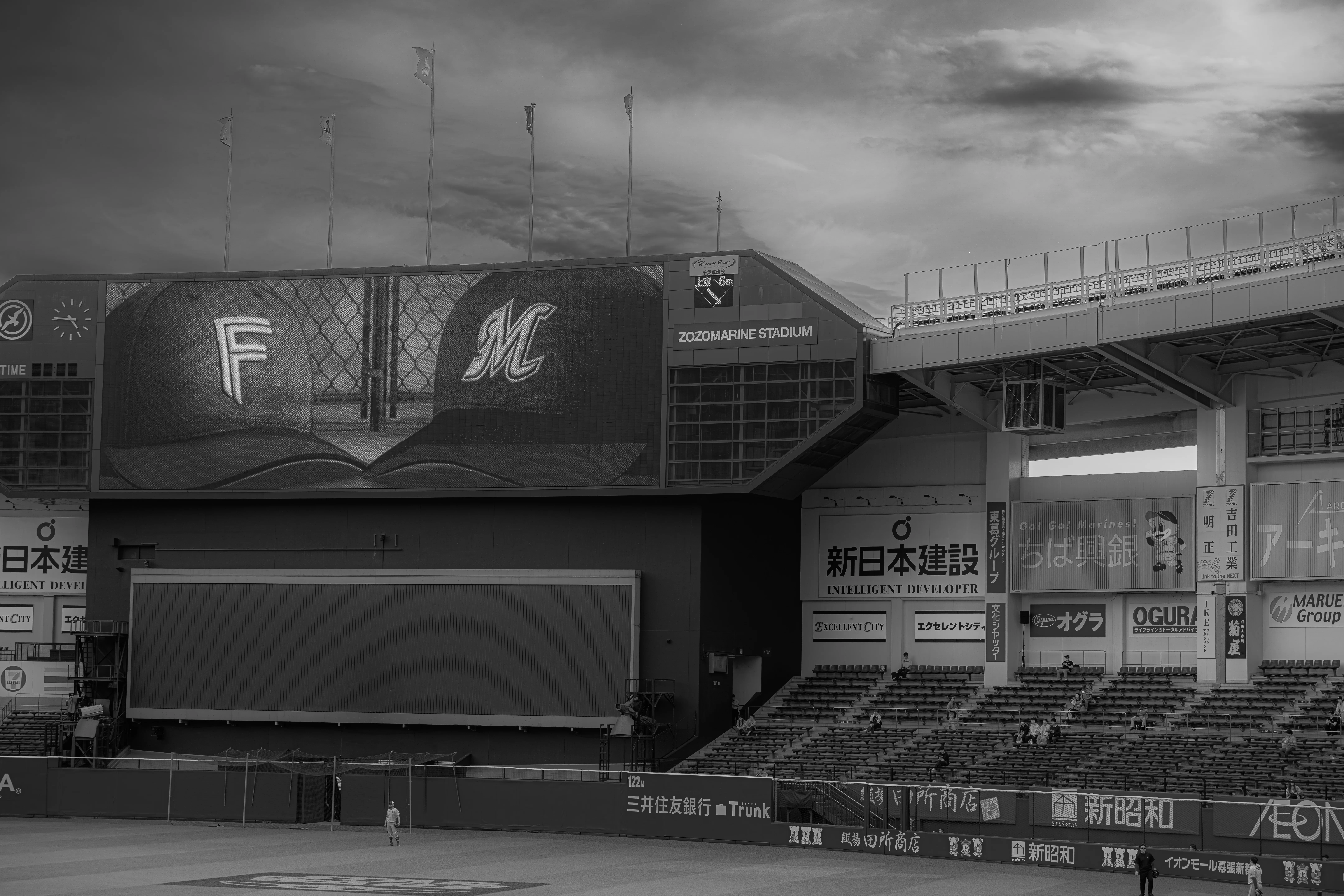野球観戦の目的｜とまと
