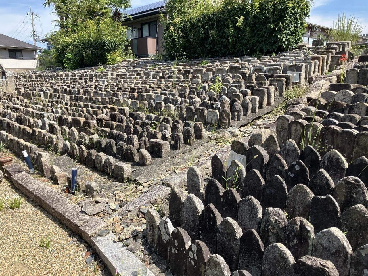 🔶私の好きな奈良：称名寺 侘茶の祖 珠光好みの茶室を残すかつての興福