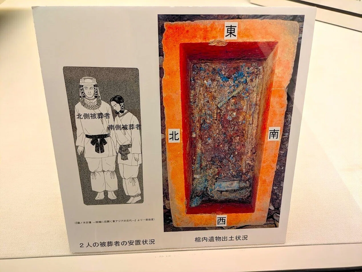 奈良・斑鳩町】国史跡「藤ノ木古墳の石室特別公開」に行ってきました
