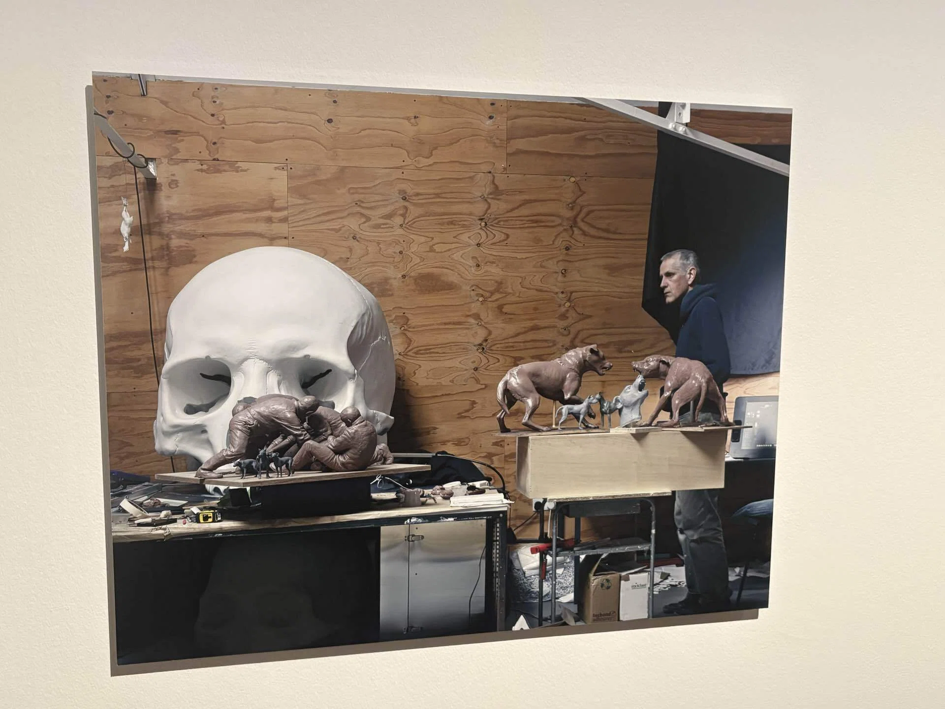 貴重！美！カラカル　頭骨 ※登録票付 ロン・ミュエク展で、人間の孤独と「死」を見つめた日@森美術館｜わら