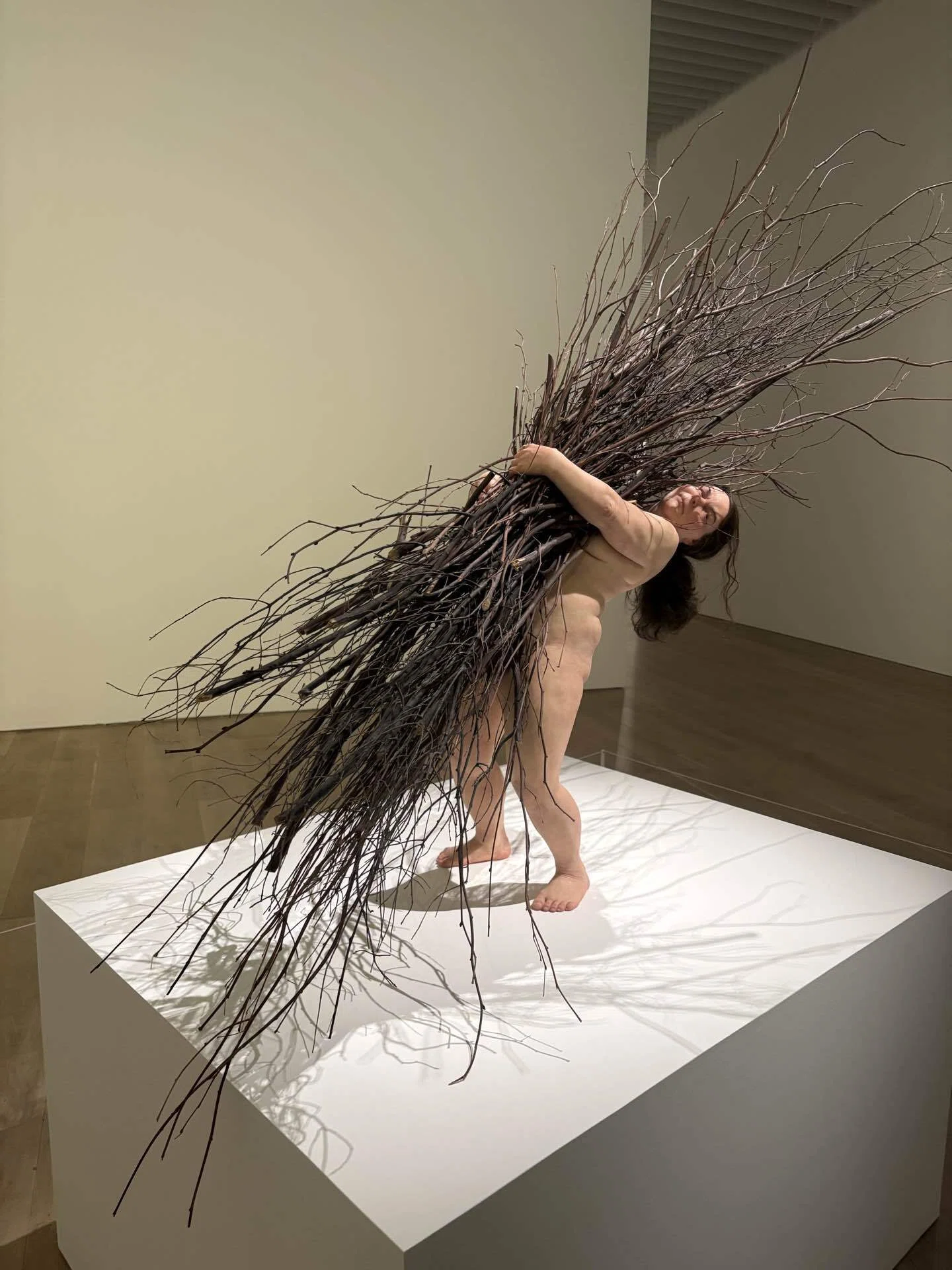 貴重！美！カラカル　頭骨 ※登録票付 ロン・ミュエク展で、人間の孤独と「死」を見つめた日@森美術館｜わら