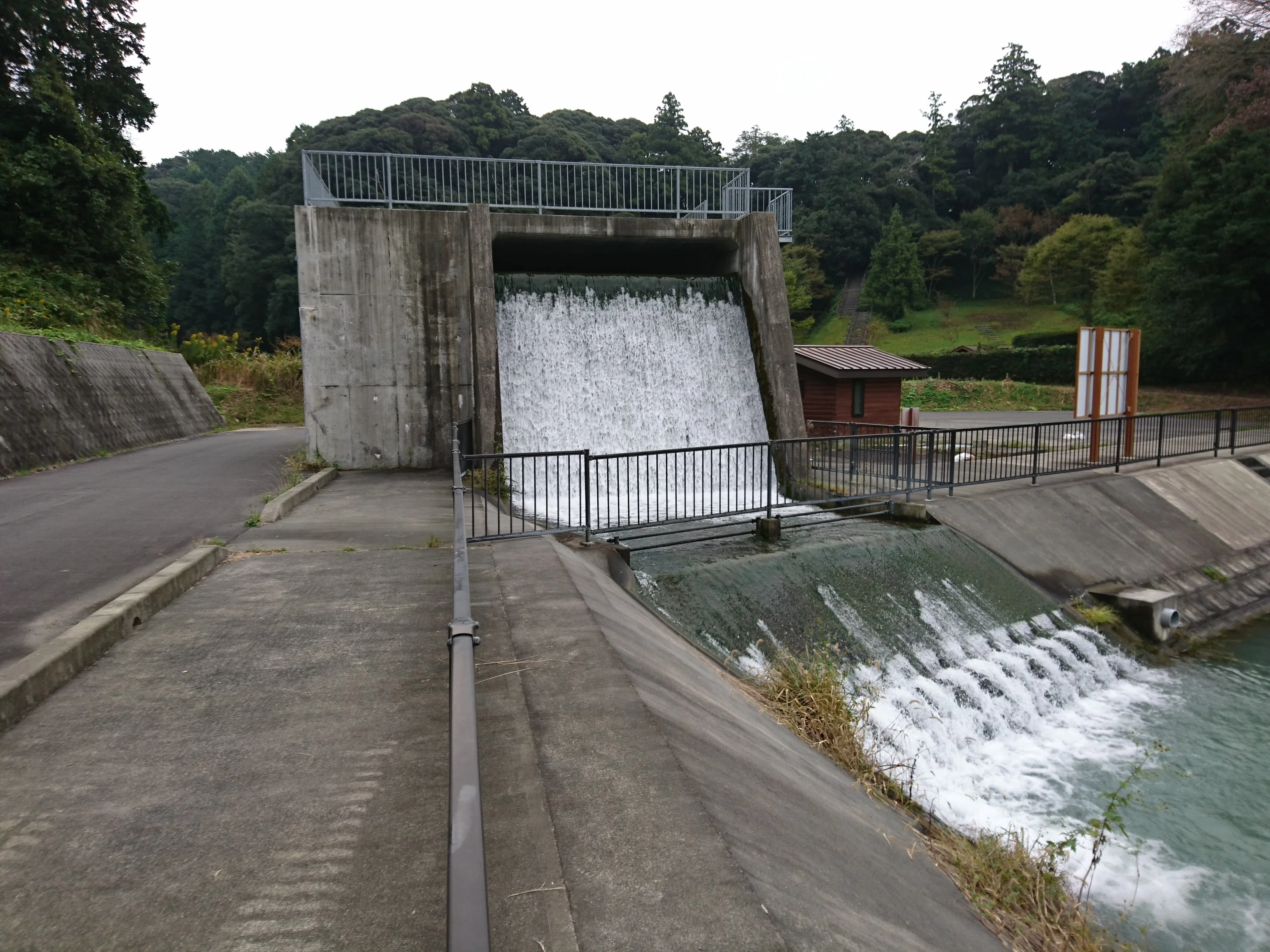 水は、心のどこを洗っていたのか｜掛川「大池調整池」で考えたこと