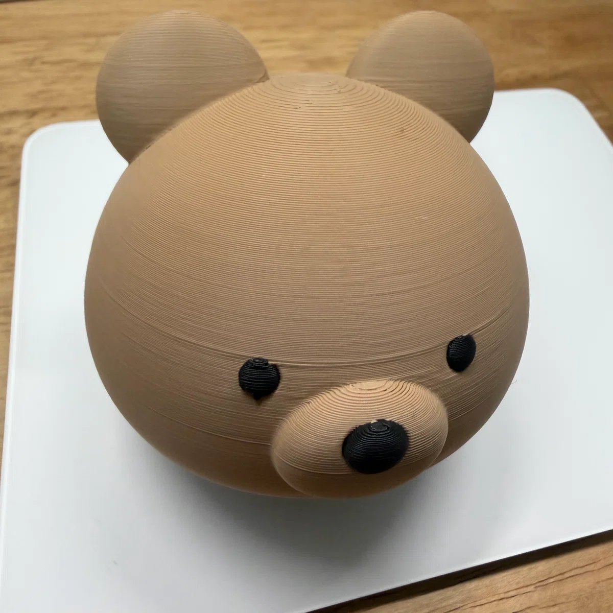 クマちゃん頭部の写真
