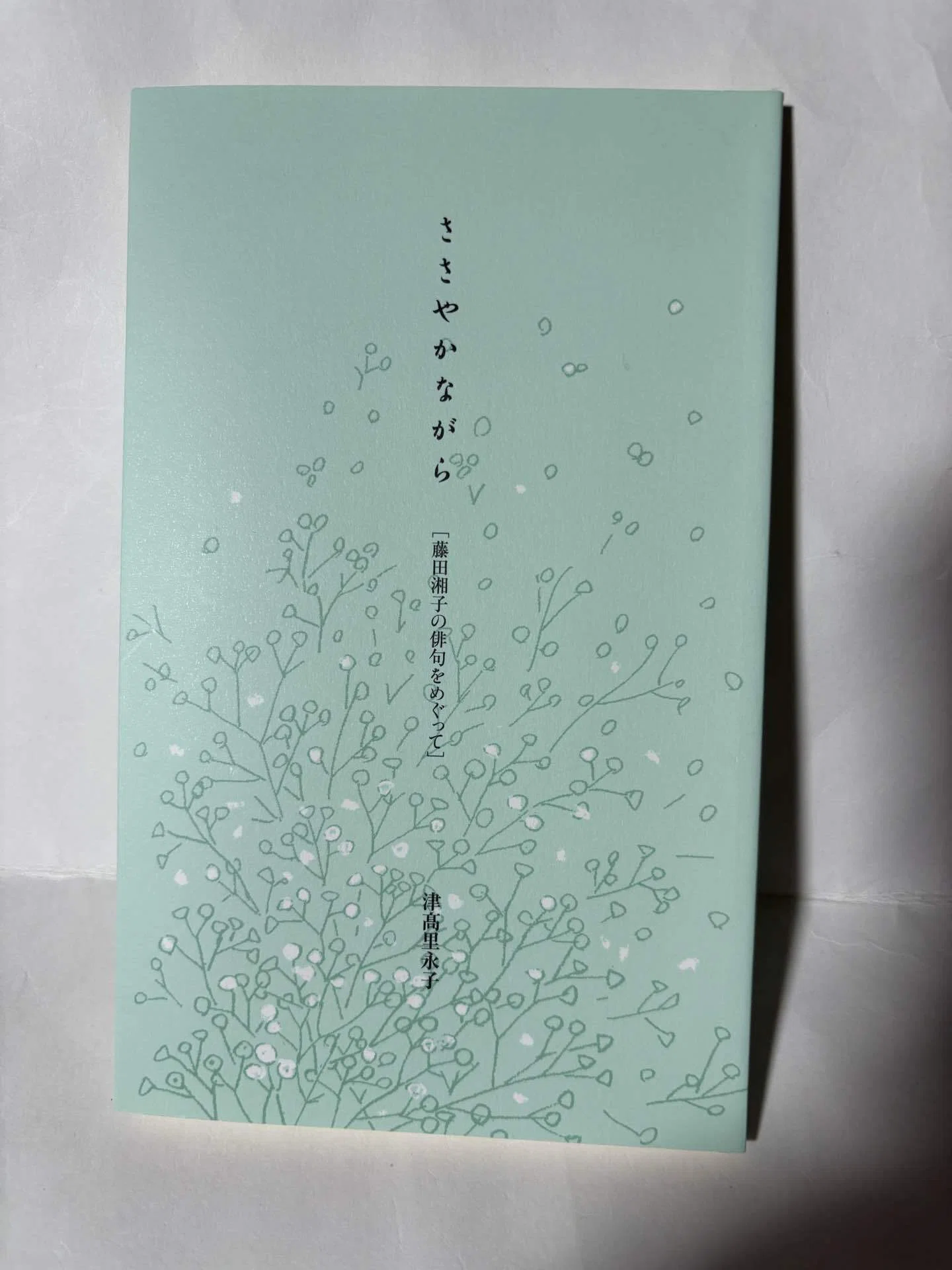 ささやかながら-藤田湘子の俳句をめぐって-』を読む。-貴重な体験談