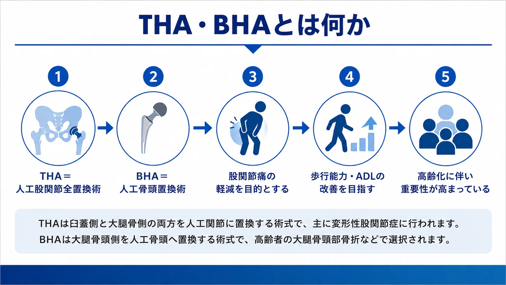 THA・BHAの術後リハビリ完全攻略】人工股関節・人工骨頭置換術の評価