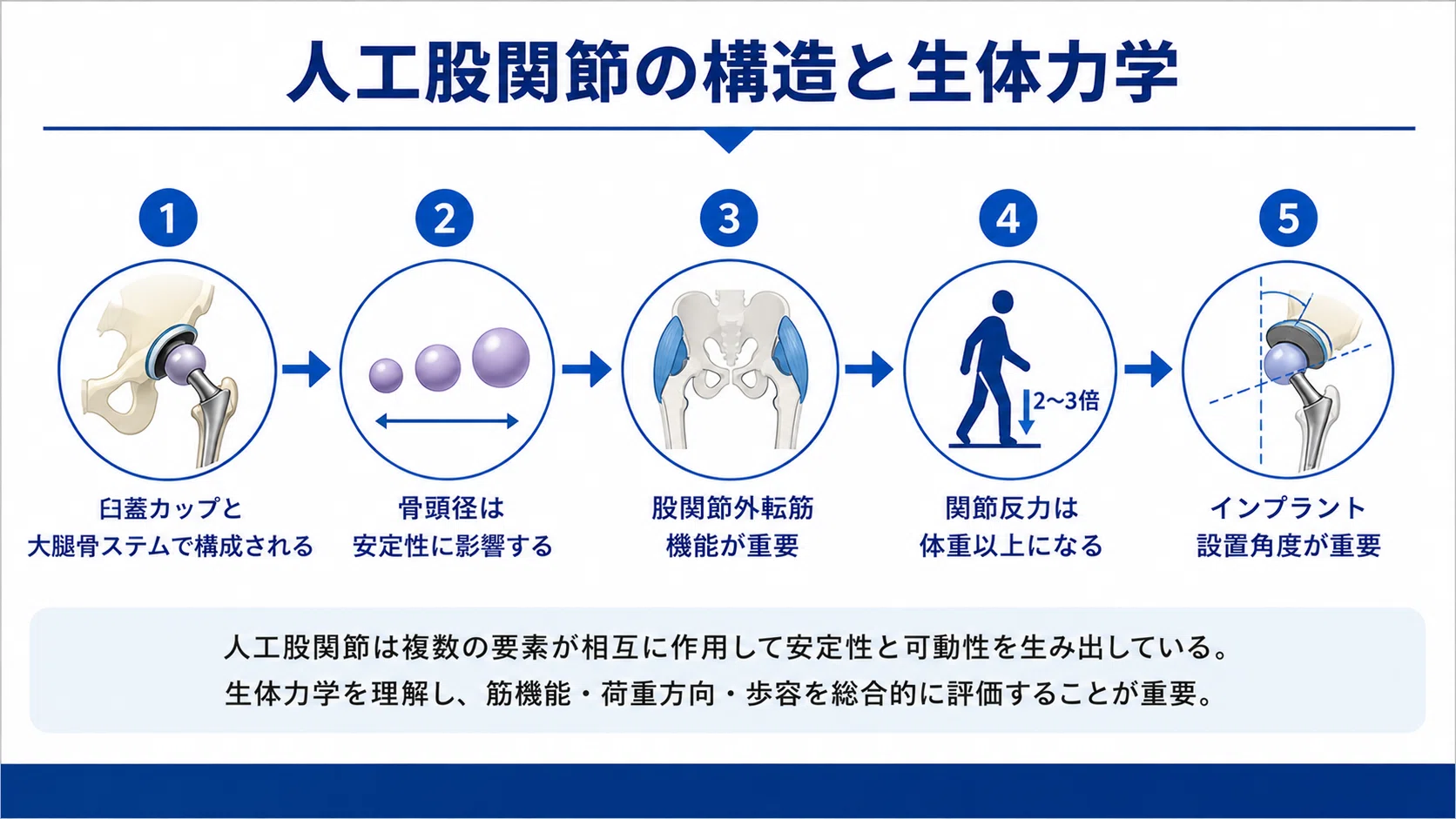 THA・BHAの術後リハビリ完全攻略】人工股関節・人工骨頭置換術の評価