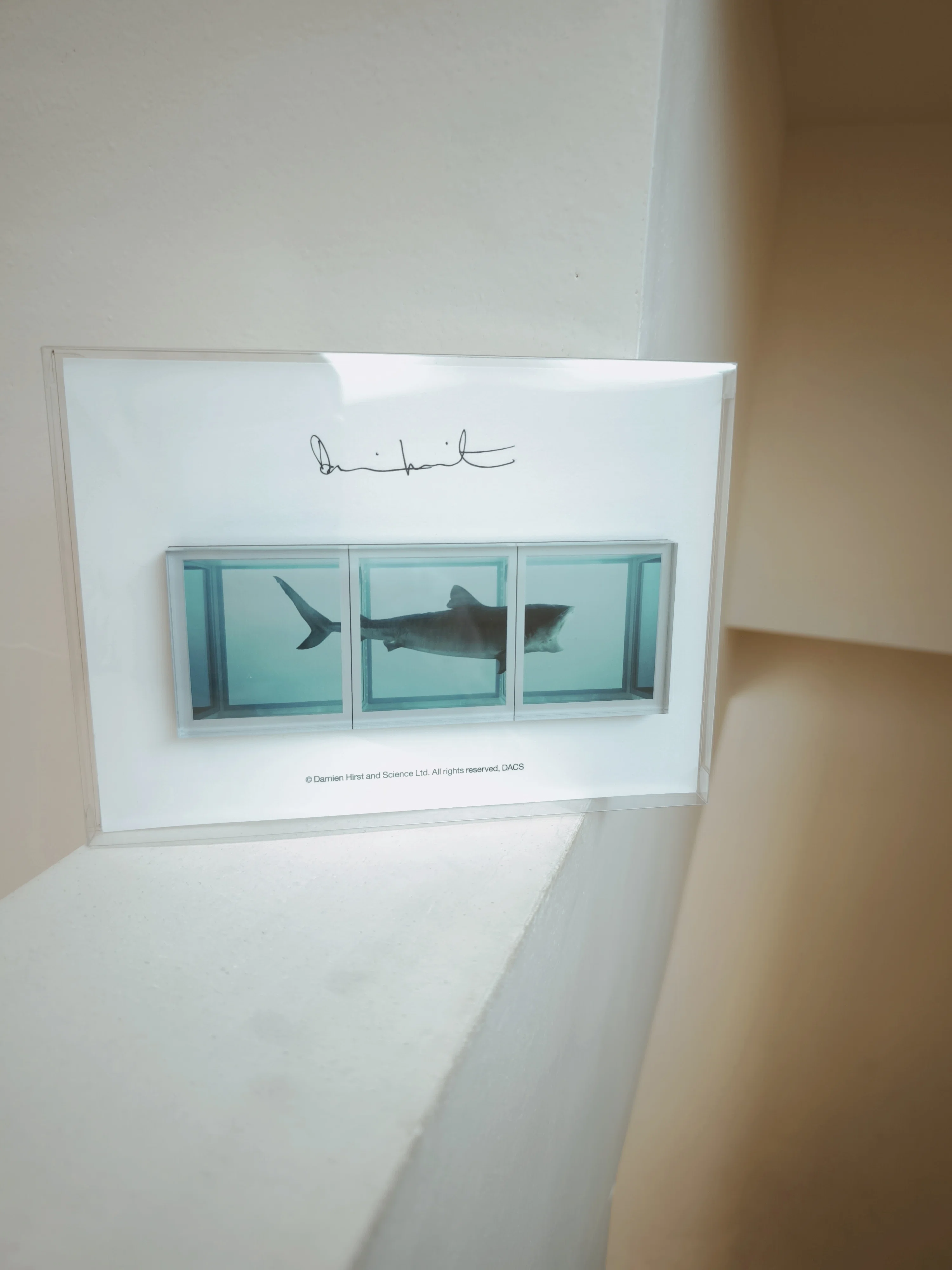 ダミアン・ハースト｜DAMIEN HIRST』のアジア最大規模の個展をMMCAで見