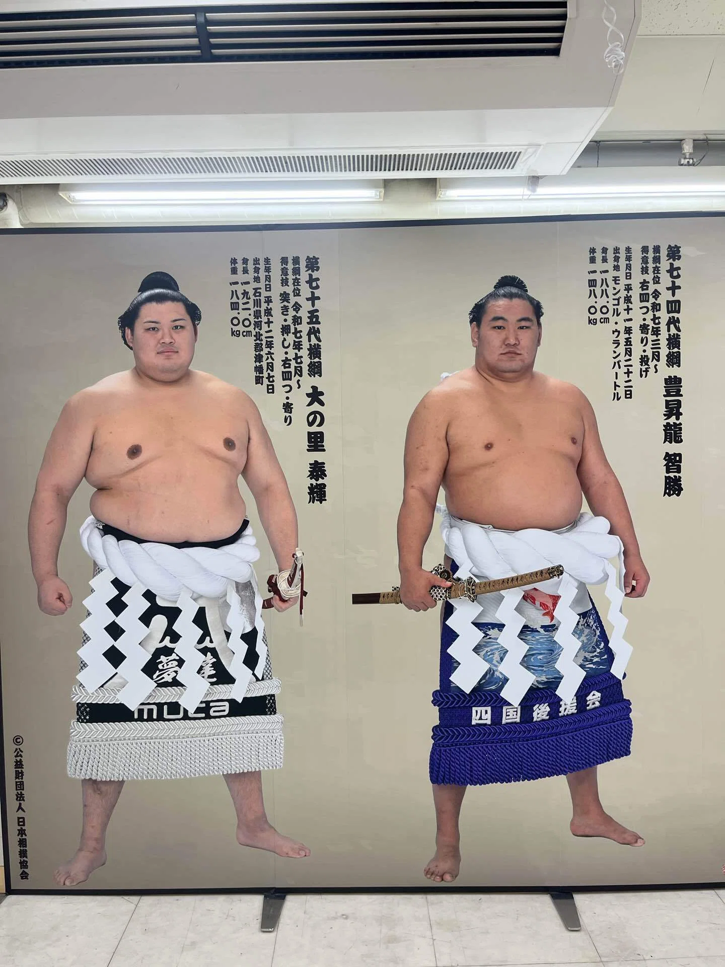 ひだまりさんぽ】大相撲EXPO 京王新宿場所に潜入！｜ひだまり66