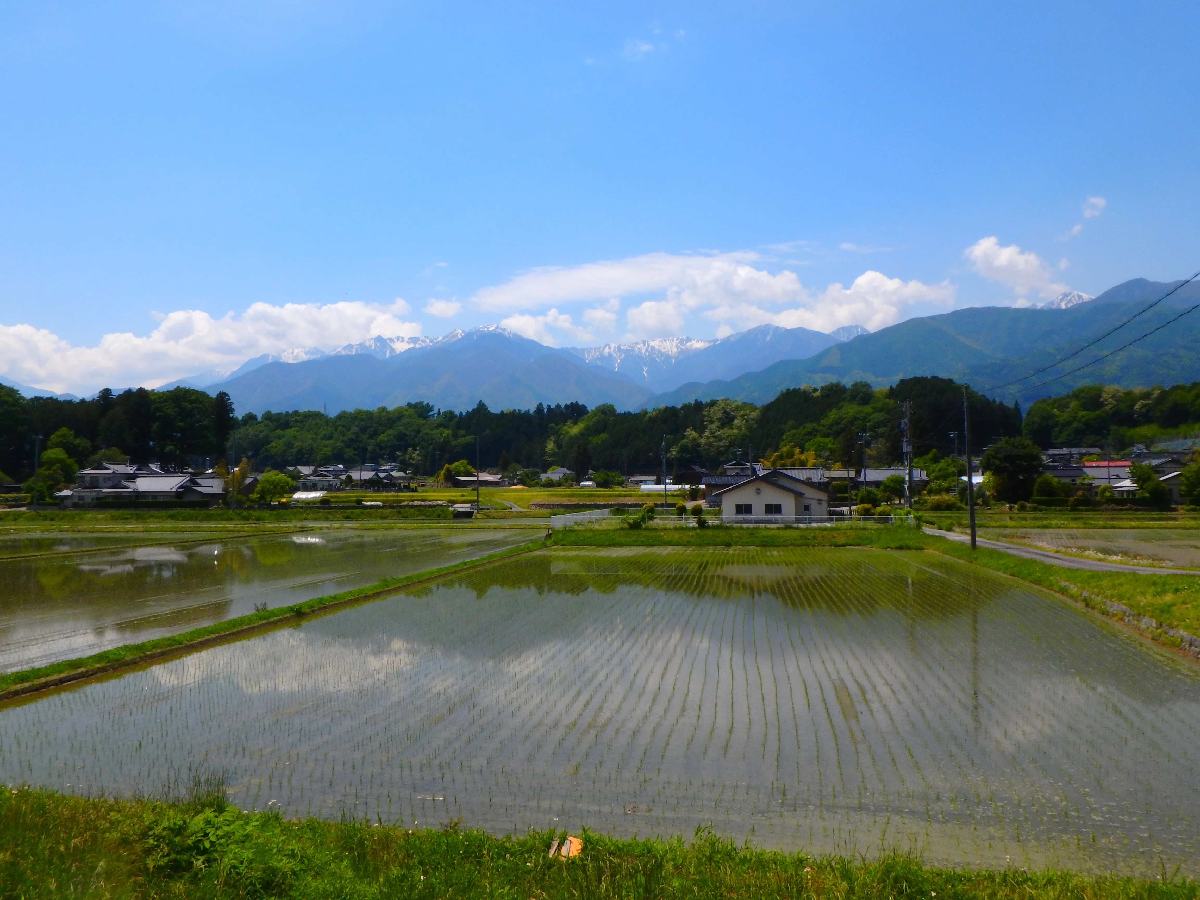 駒ヶ岳と天竜川 天竜差し～駒ヶ岳山麓 天竜川本流釣行｜SW工房
