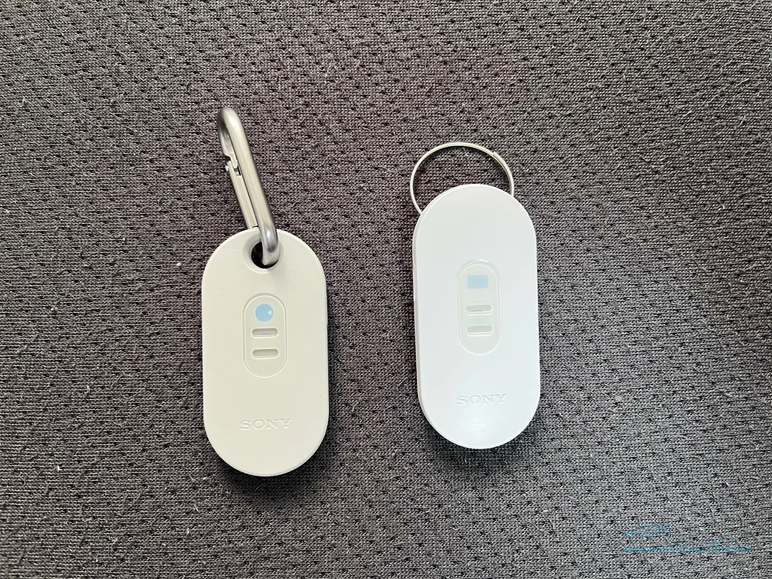 首元が冷えるだけ”で、夏の外出が変わる。SONY「REON POCKET 6」を実際