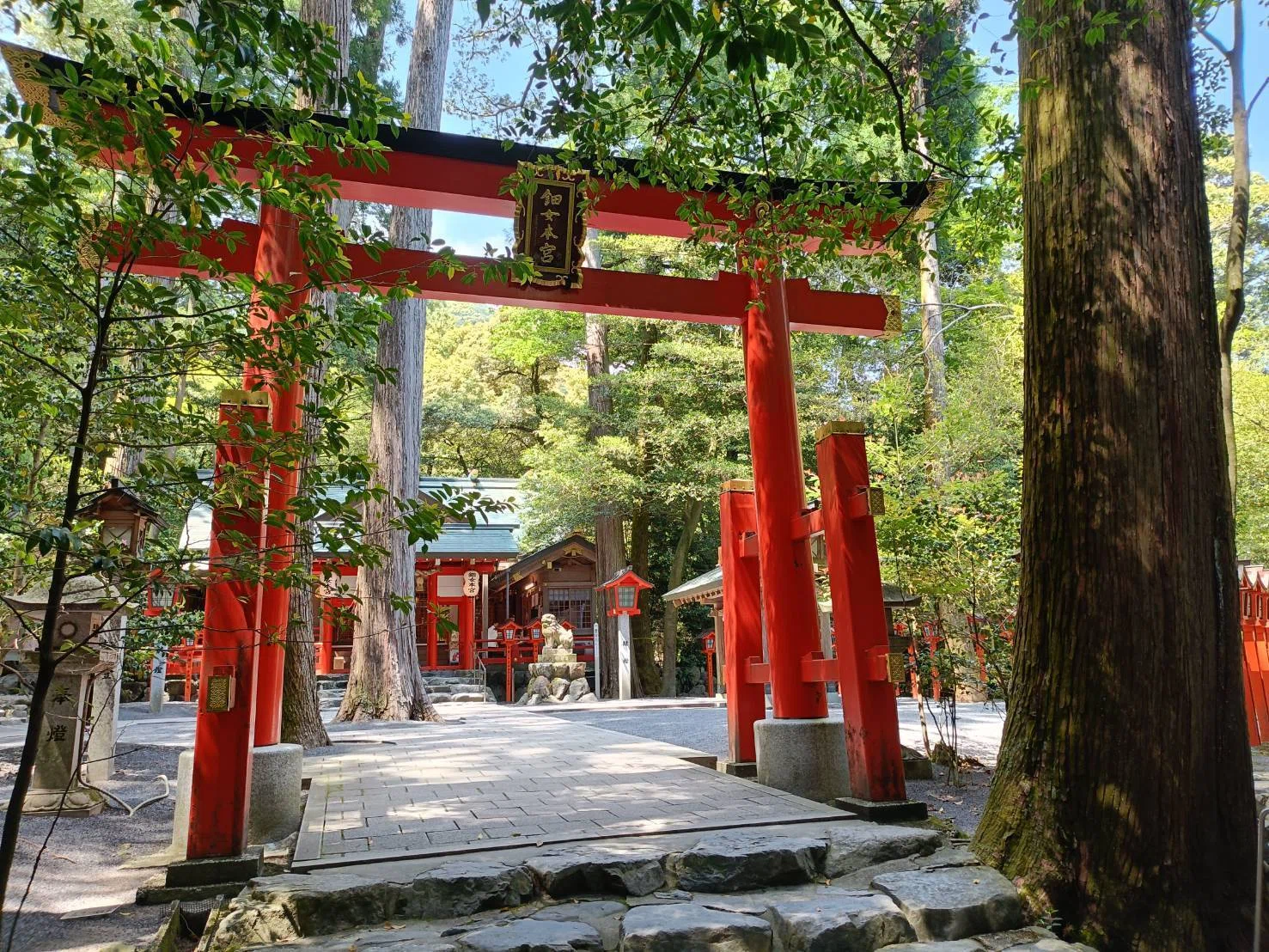 Tears without a reason and a Shinto priest like an Onmyoji. A