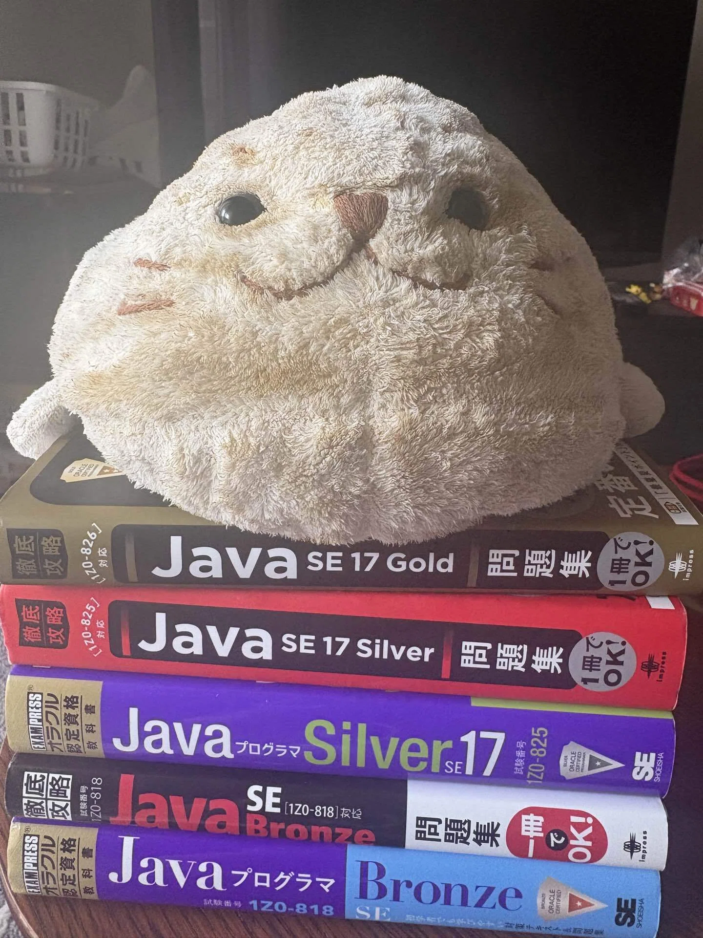 約2週間でJava SE 17 Goldに一発合格した話(150時間の約1/3しかかけて