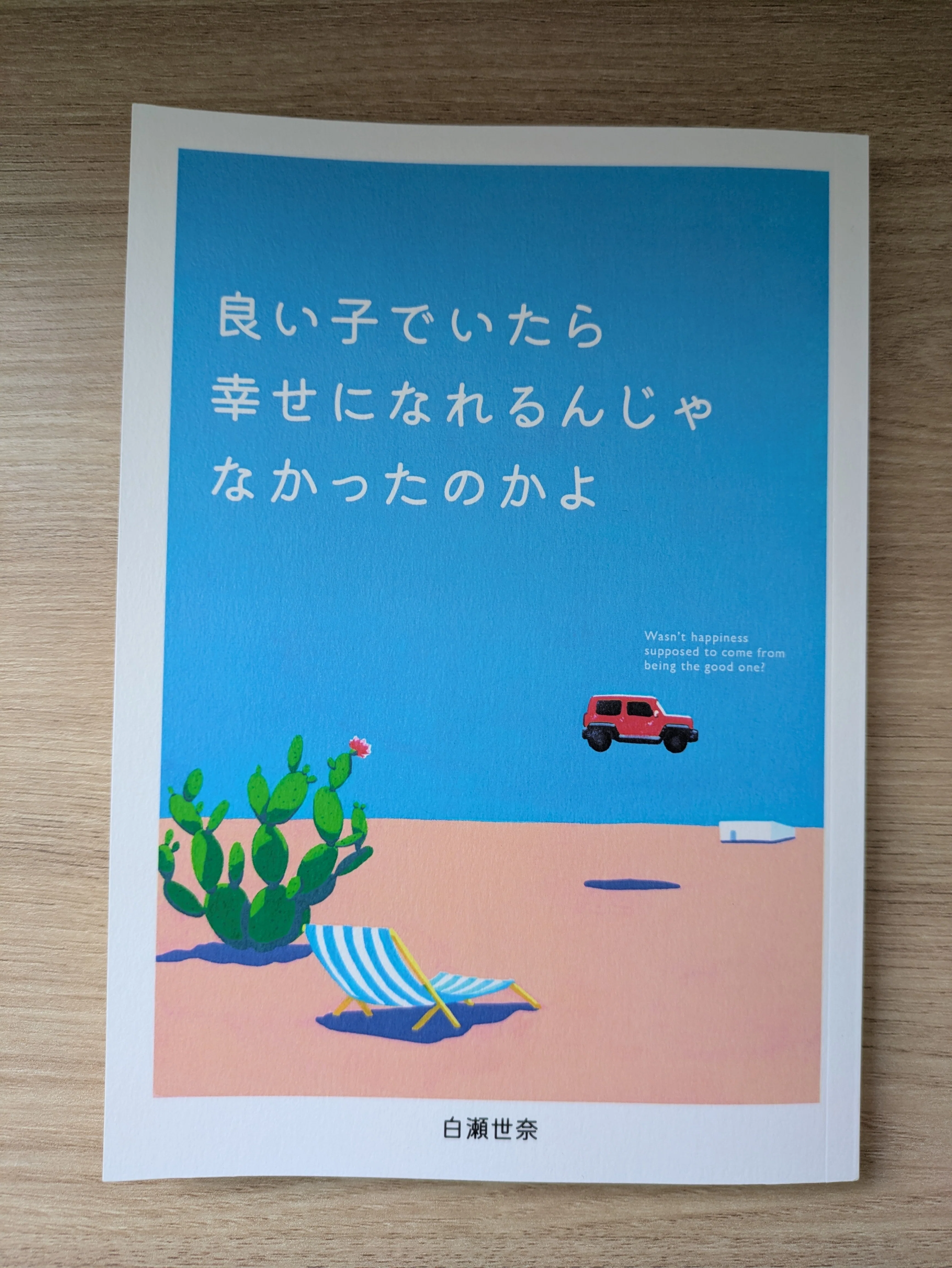 私が1年間で集めたZINEを見て！🫶🏻｜ぽんぽこ