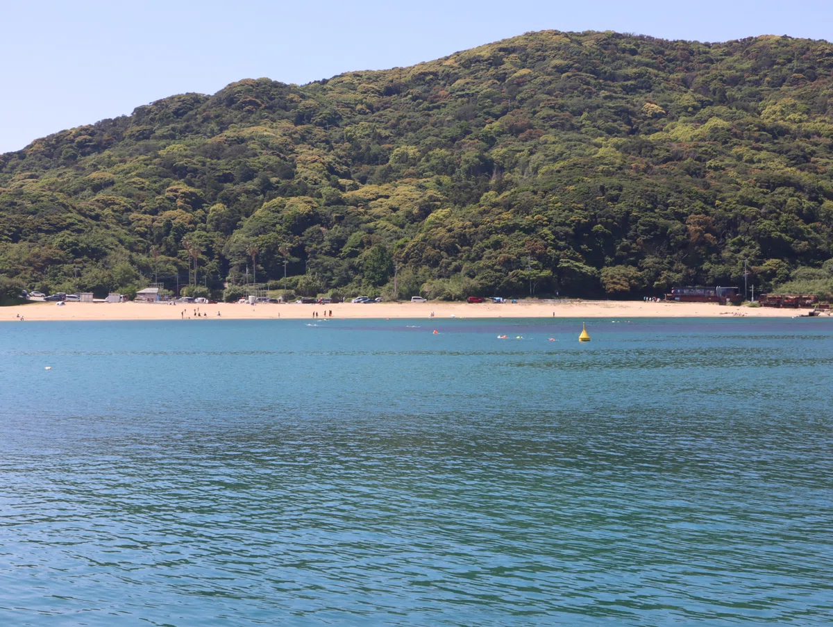 画像