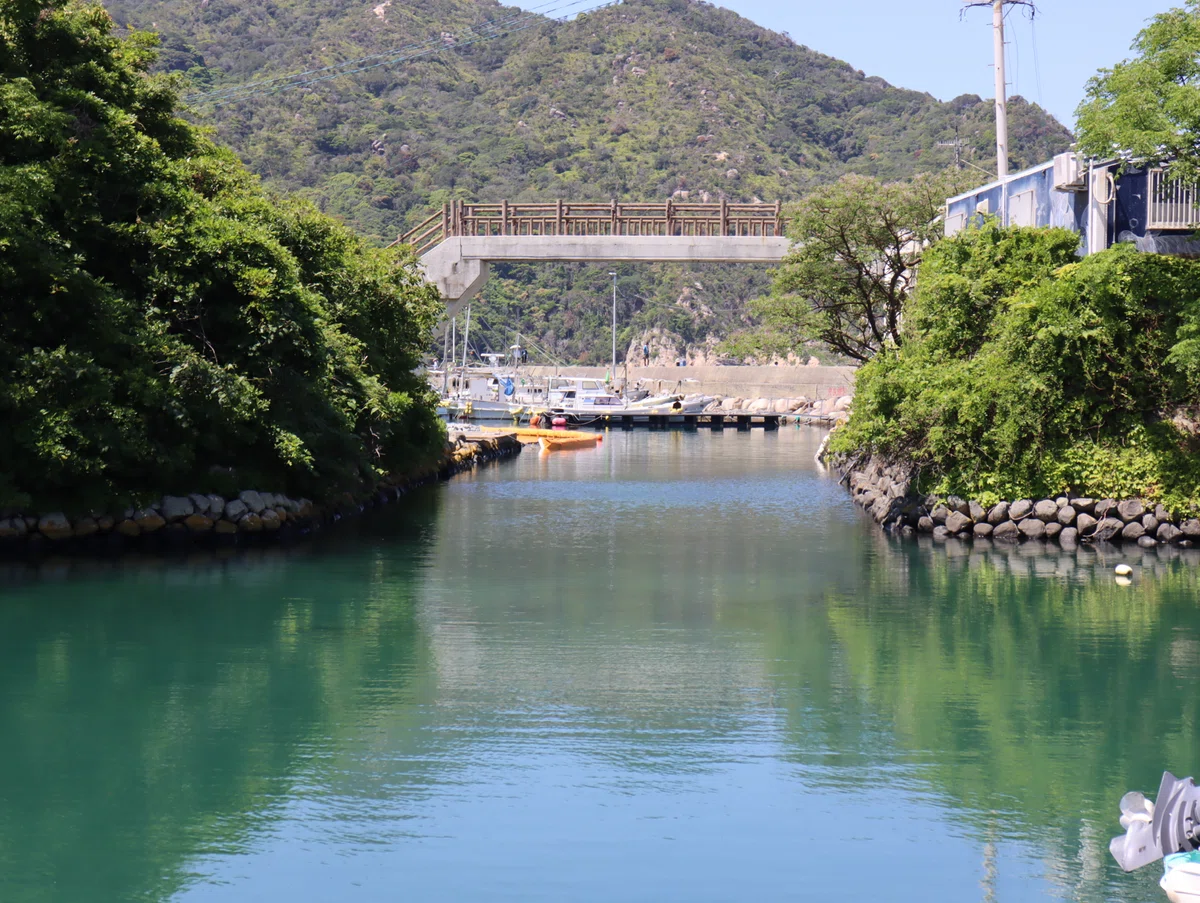 画像