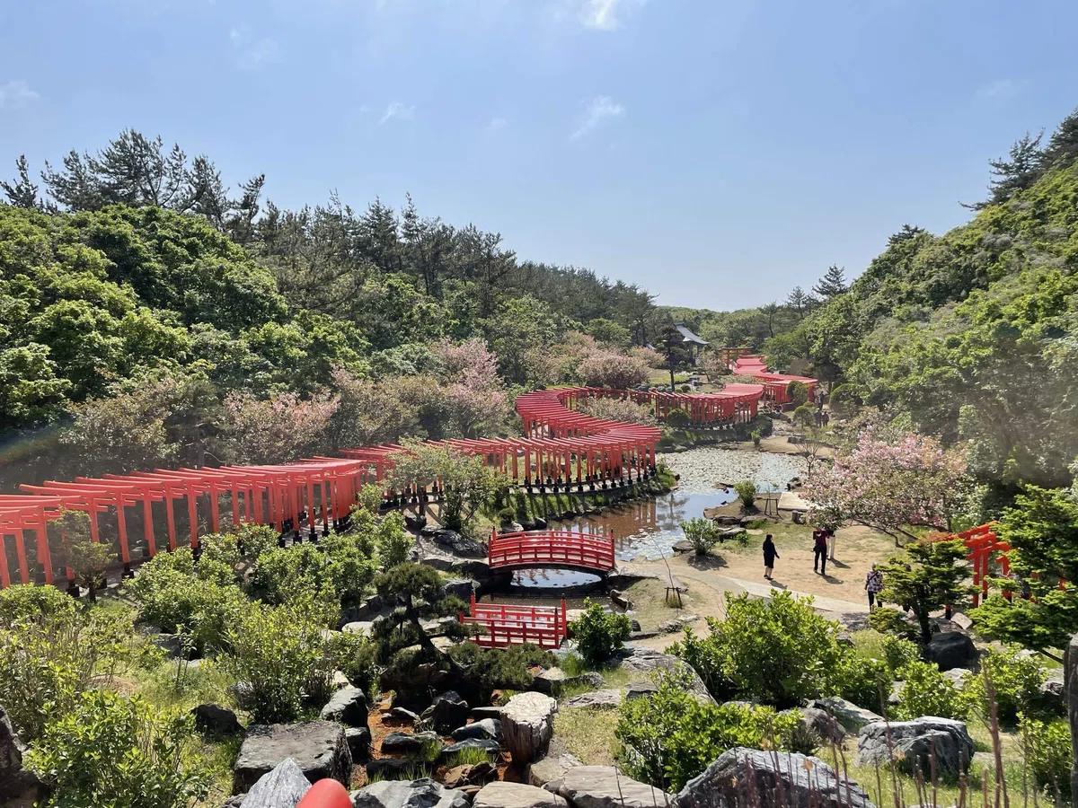 画像