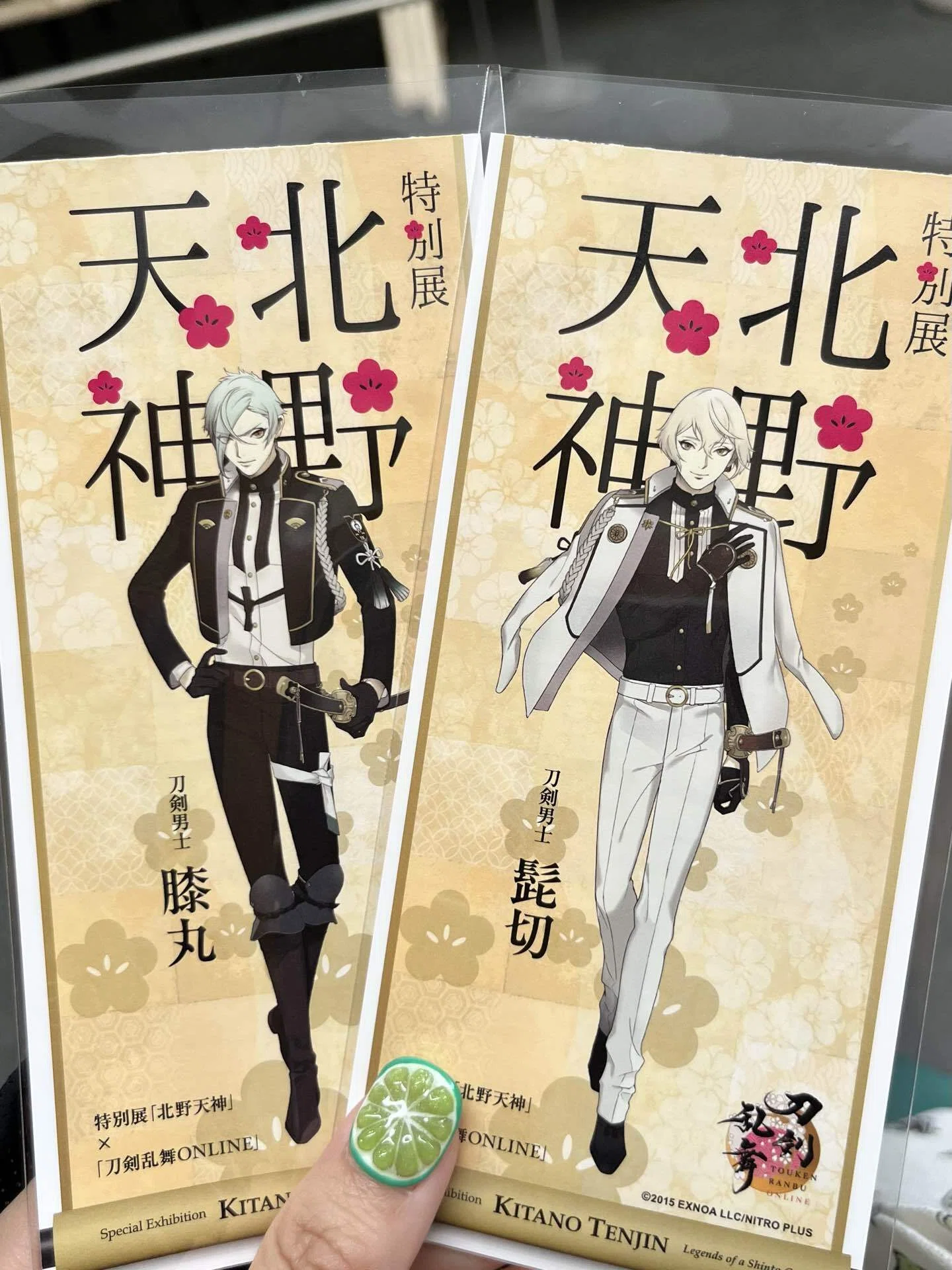 京都2026年5月15日〜5月16日｜💚