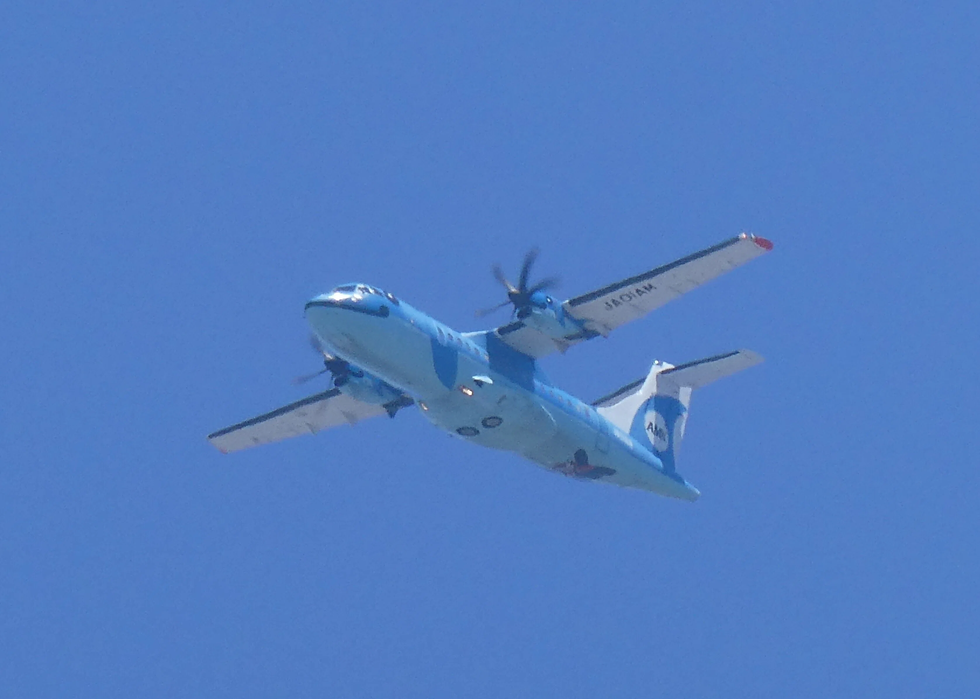 東大阪でみぞかちゃん🐬✨✨🛩️｜すみび
