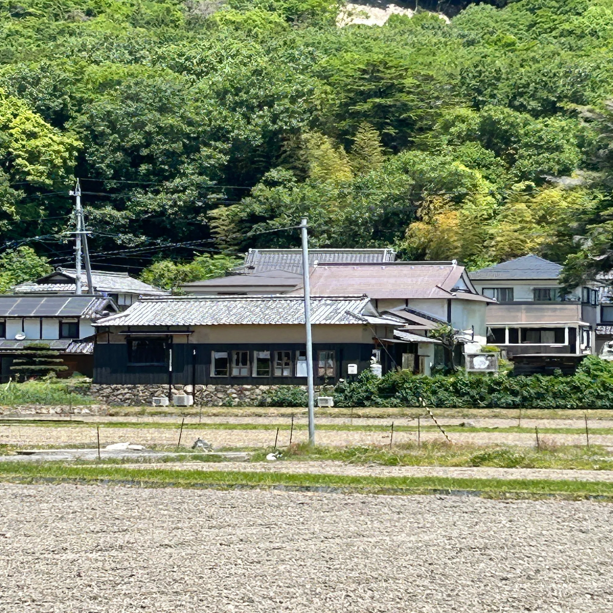 第15章 ああ、永瀬清子の生涯｜花嵐