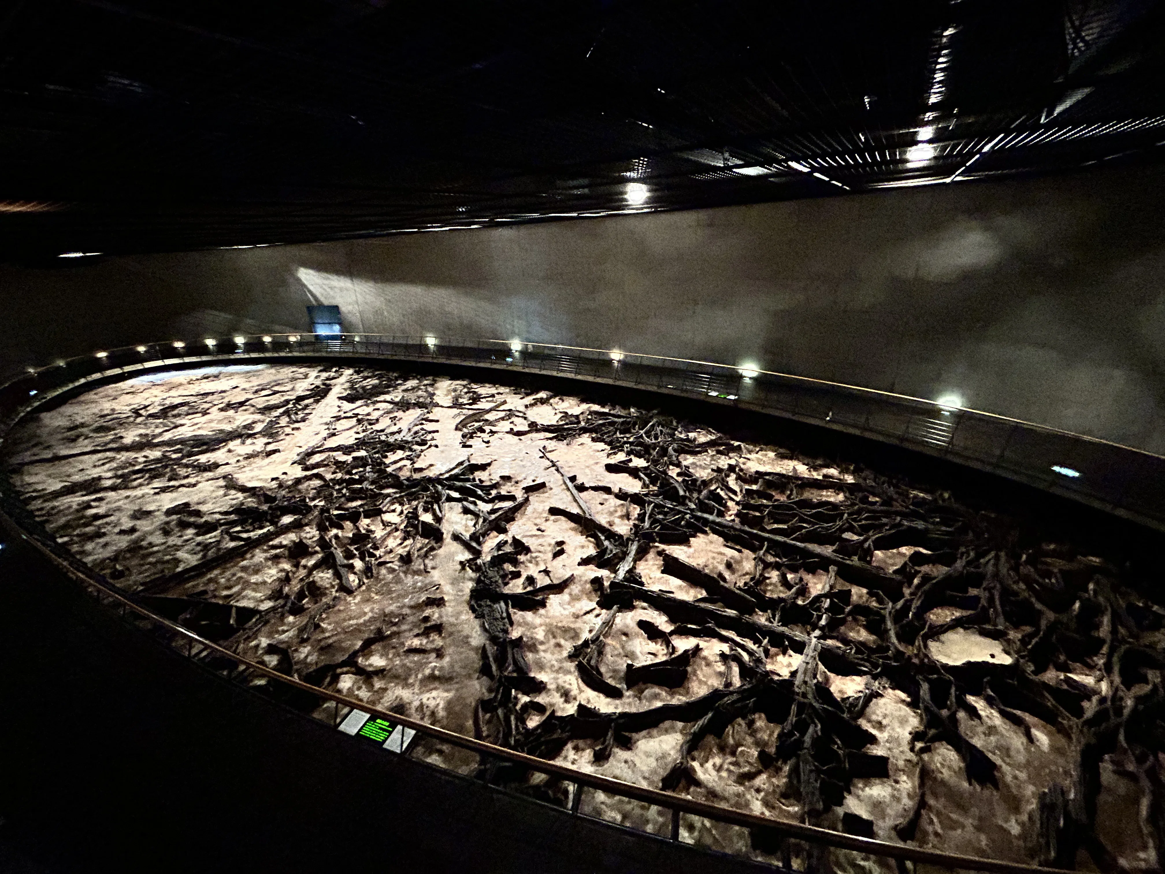 隠れた名館⑧】仙台・地底の森ミュージアムってどんな場所？【太白区
