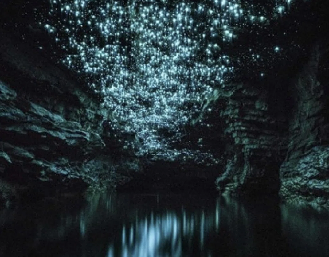 魂の洞窟/NM 魂の洞窟/Cavern of Souls》[UMA] 土地R | 日本最大級 MTG通販サイト