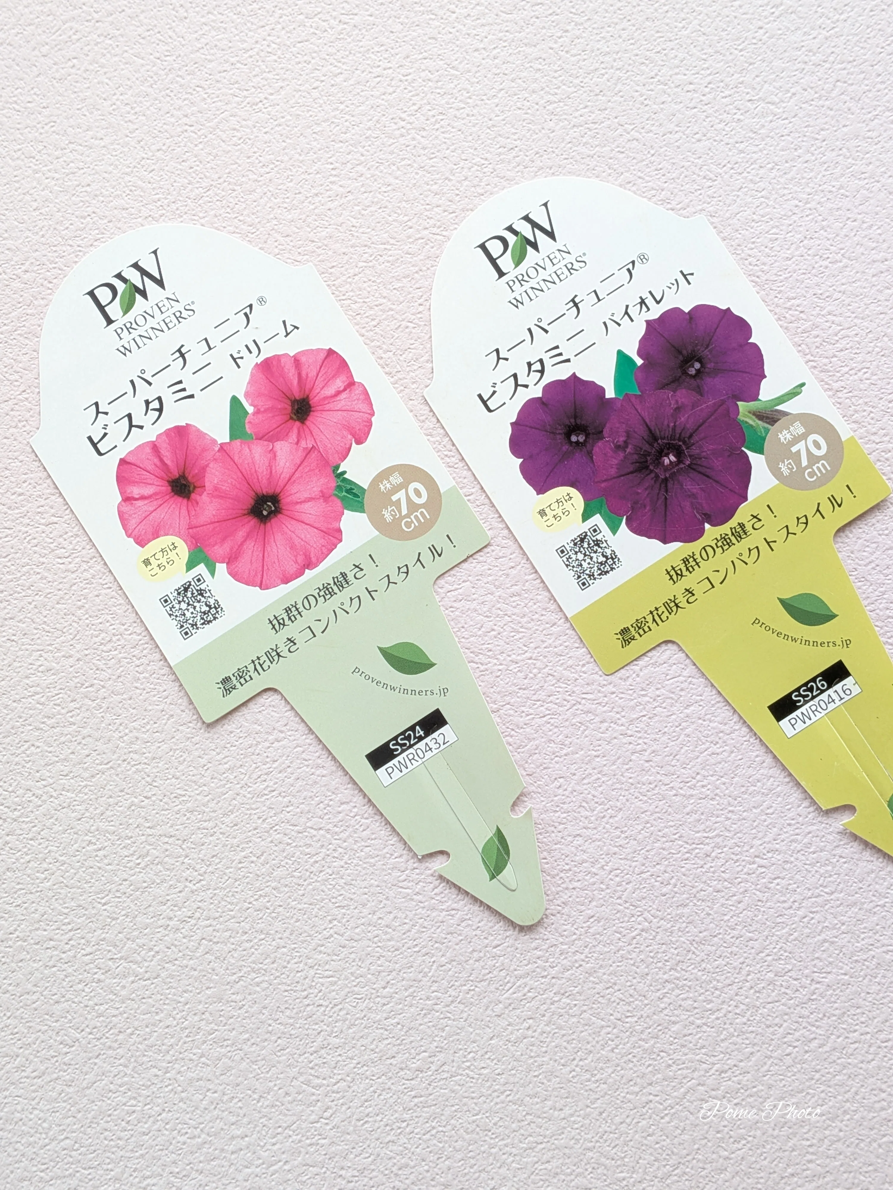 半日陰の庭で寄せ植え風花壇を冬・春仕様からチェンジ｜ぽめ