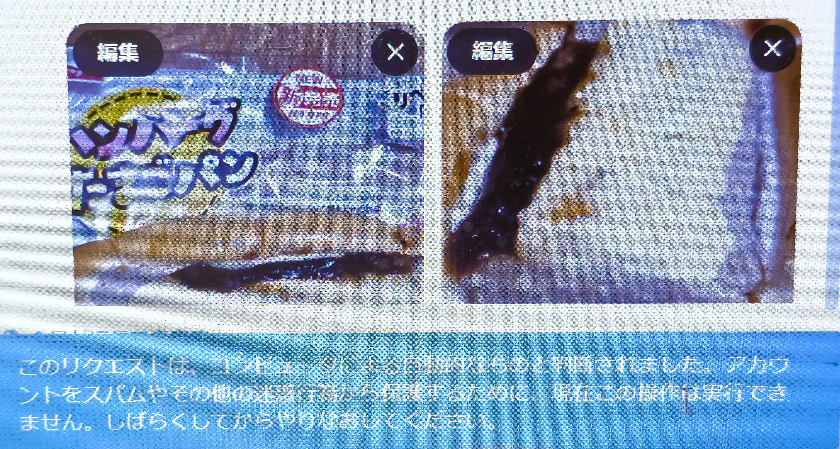 Xで「このリクエストはコンピュータによる自動的なものと判断されまし
