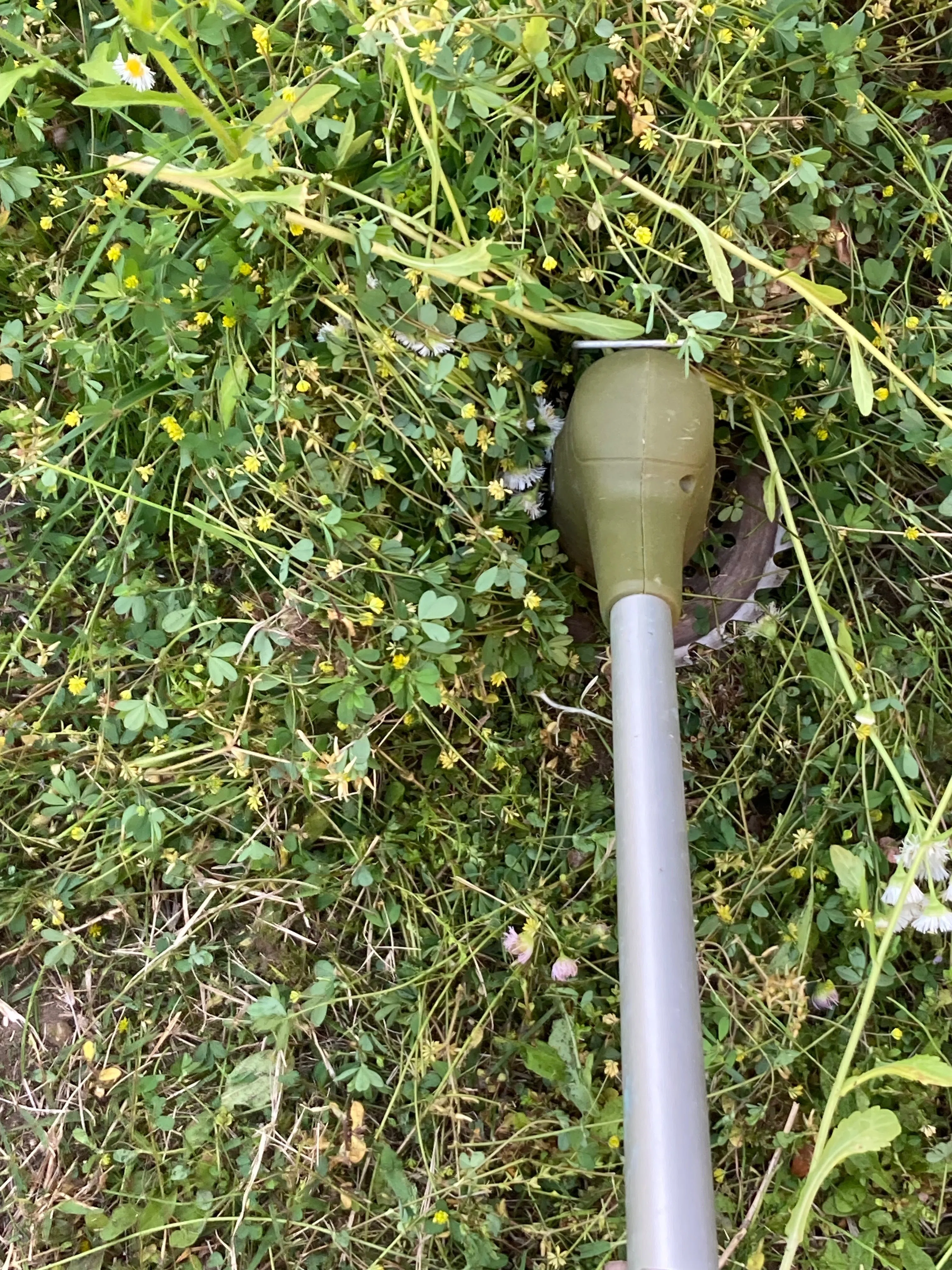 不屈の心、それは雑草魂【たまには挫けてくださいよ・・・雑草駆除は