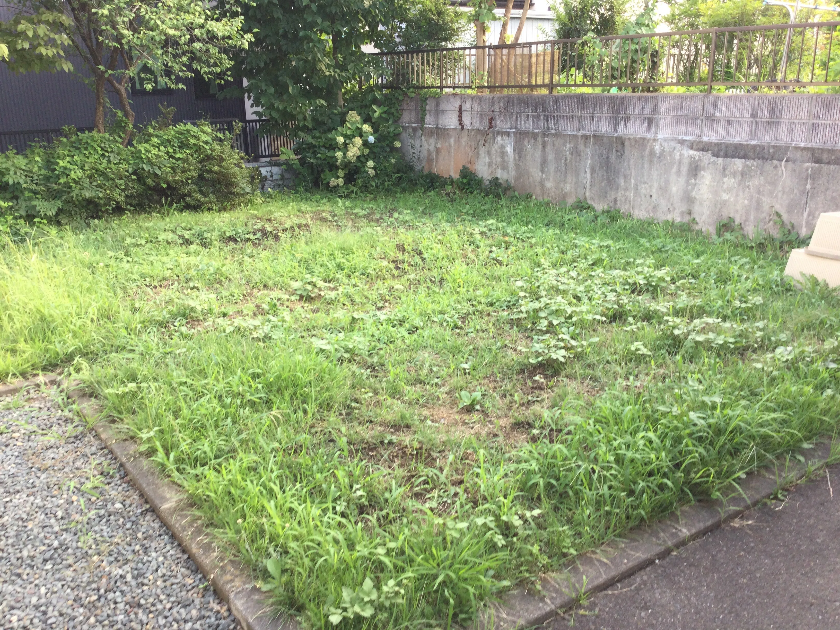 不屈の心、それは雑草魂【たまには挫けてくださいよ・・・雑草駆除は