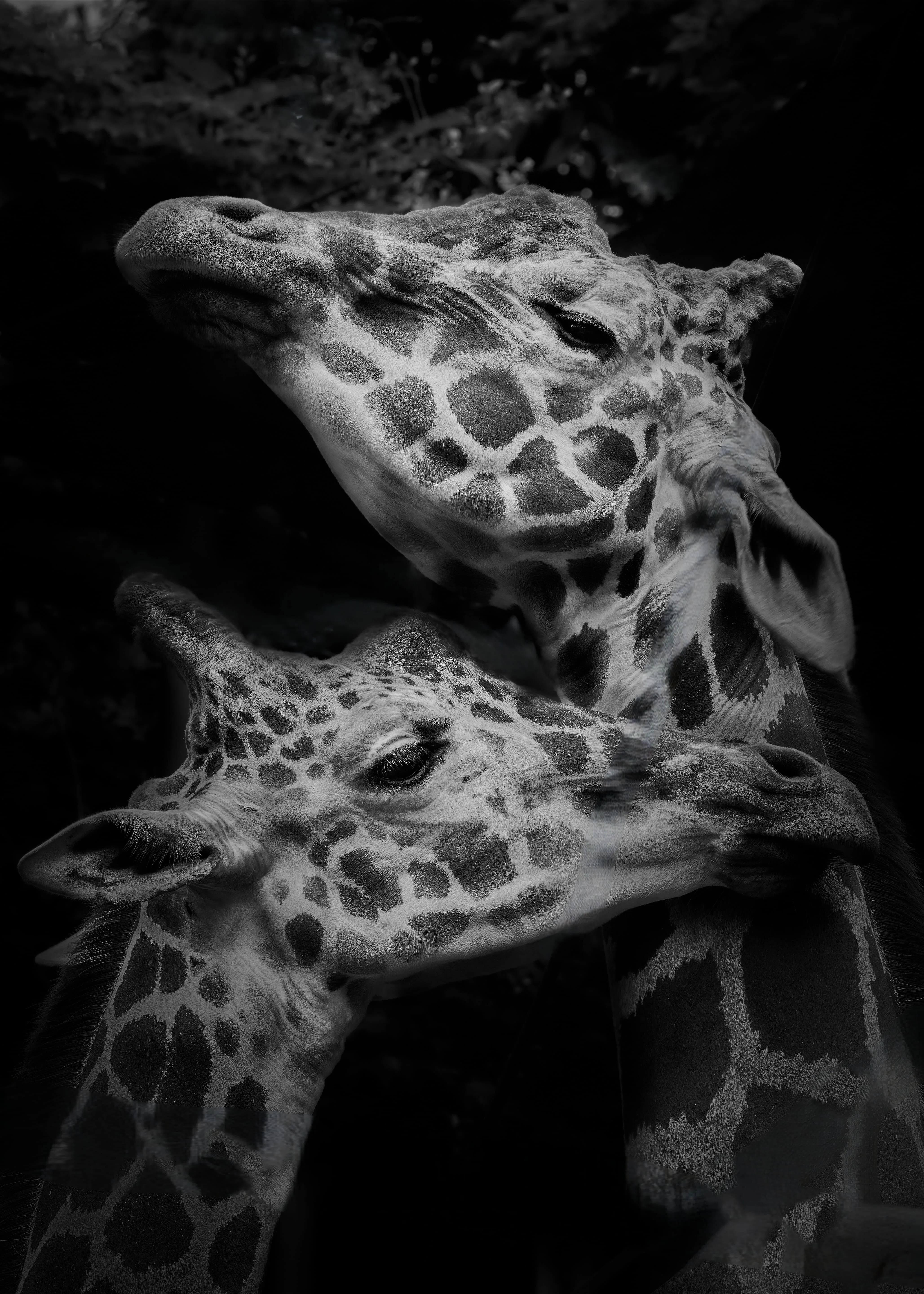 前編】写真歴1年で世界で評価されるまでのロードマップ：得意ジャンル