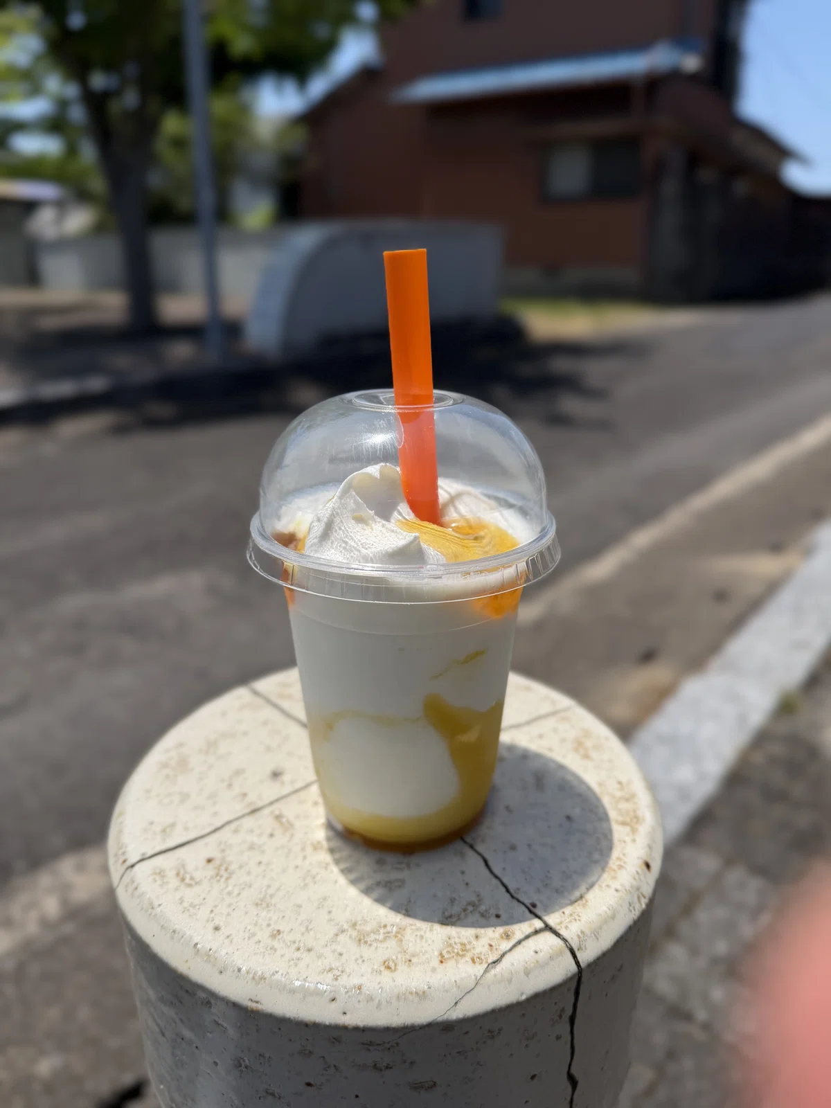 FRAPPE（YOGURT MANGO）