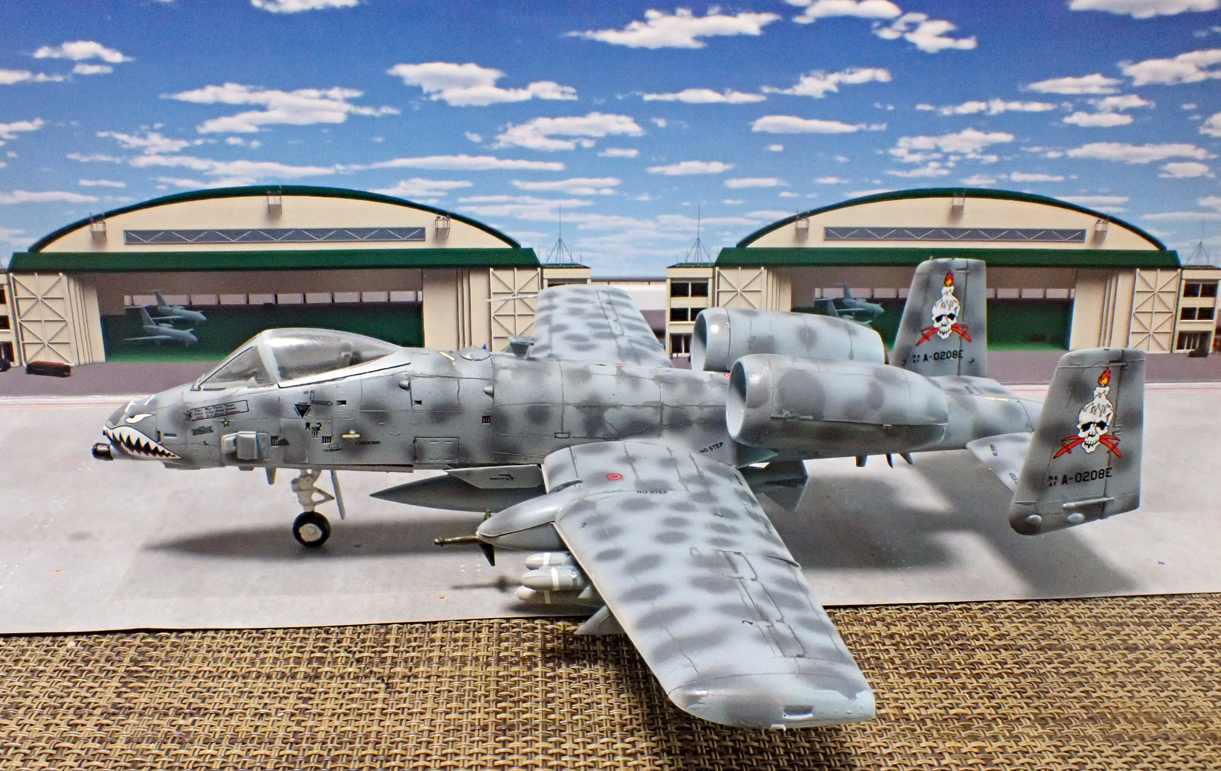 １／７２＆１／１００グレッグ専用Ａ－１０Ａサンダーボルト ハセガワ 1／72 A10C サンダーボルトⅡ エリア88 グレッグ