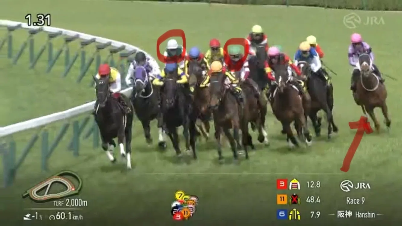 ジュウリョクピエロは強いのか？／ 第87回 優駿牝馬 オークス あるか