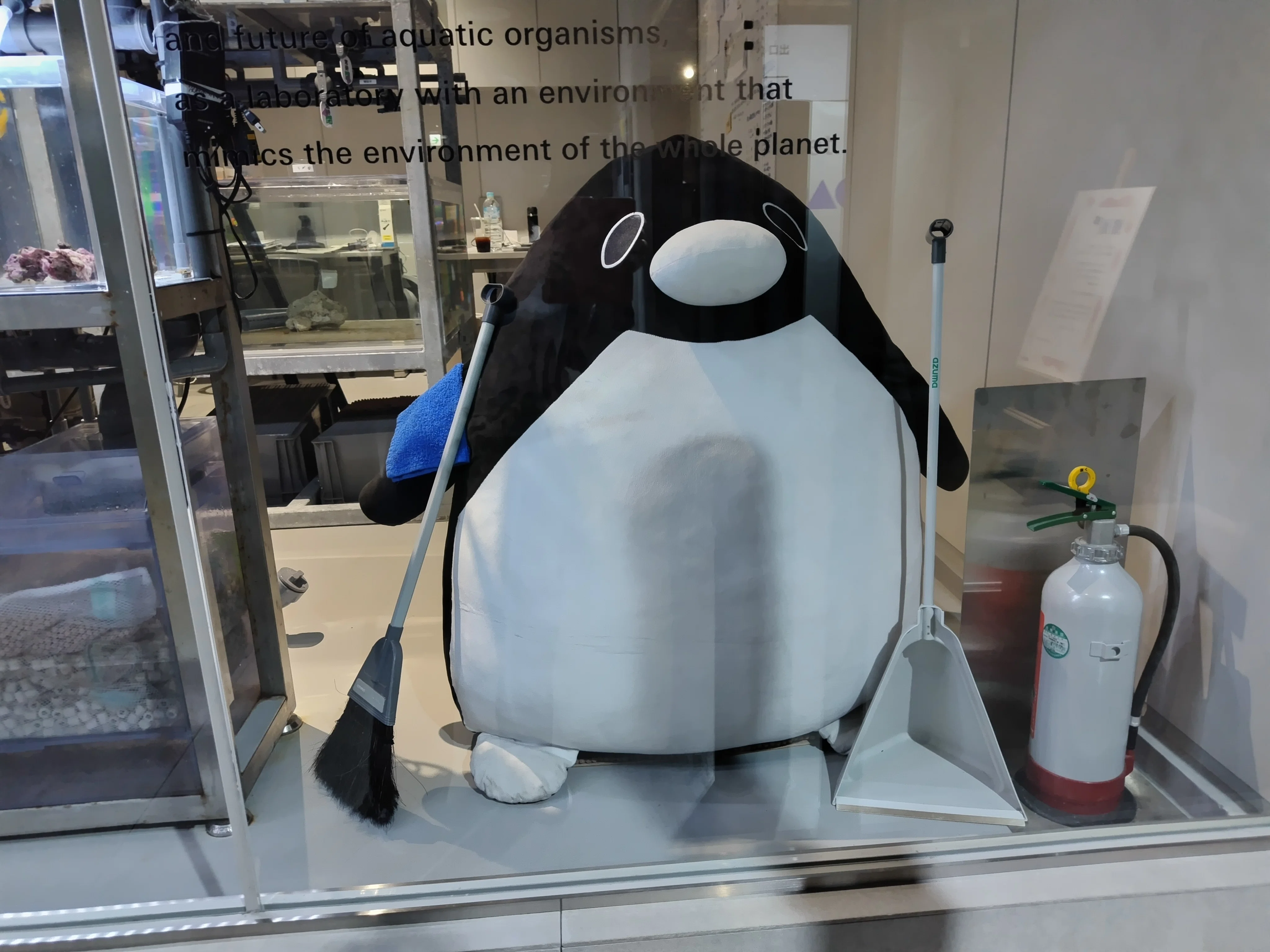 今日のペンギン｜常夏みかん