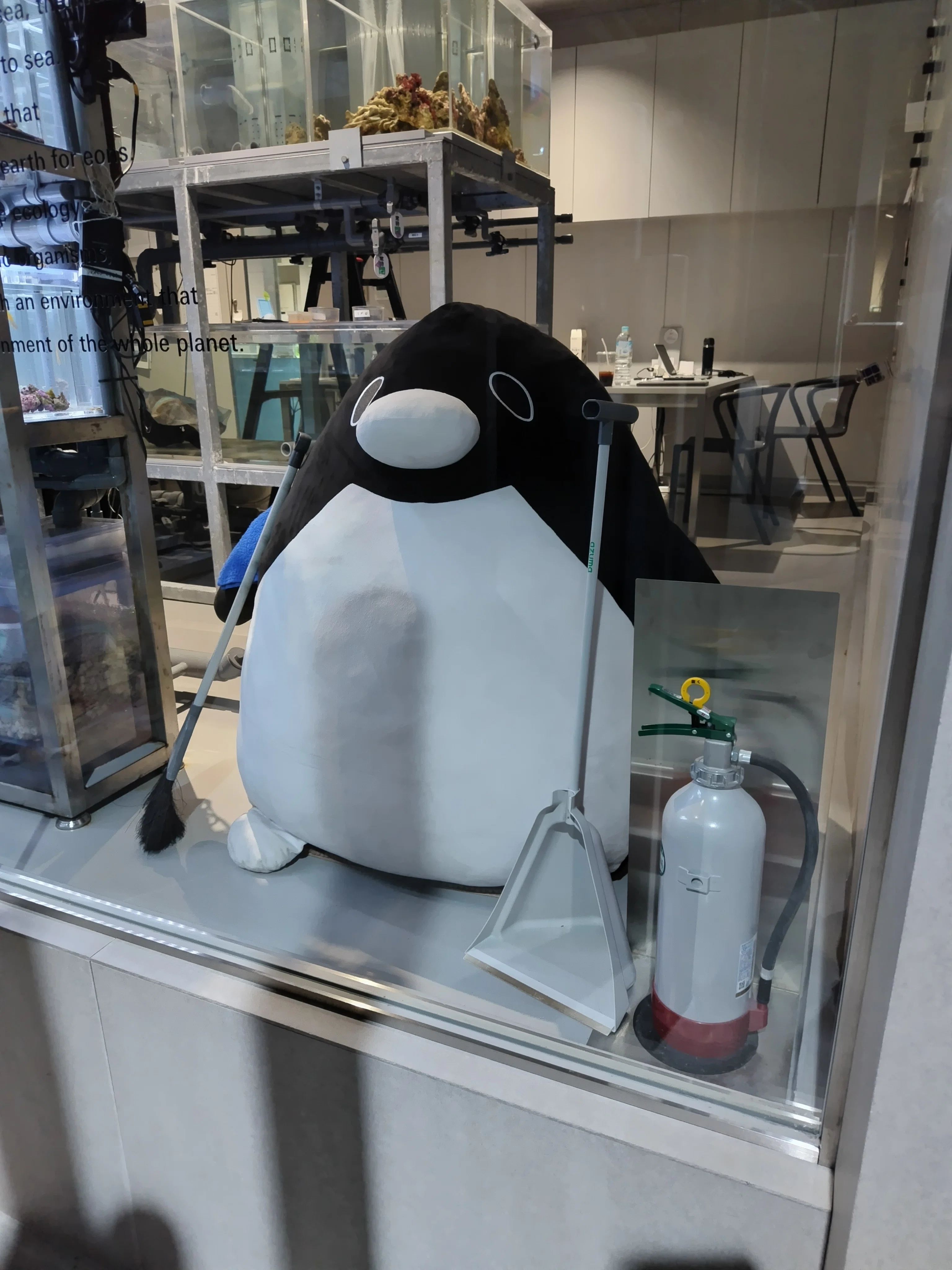 今日のペンギン｜常夏みかん