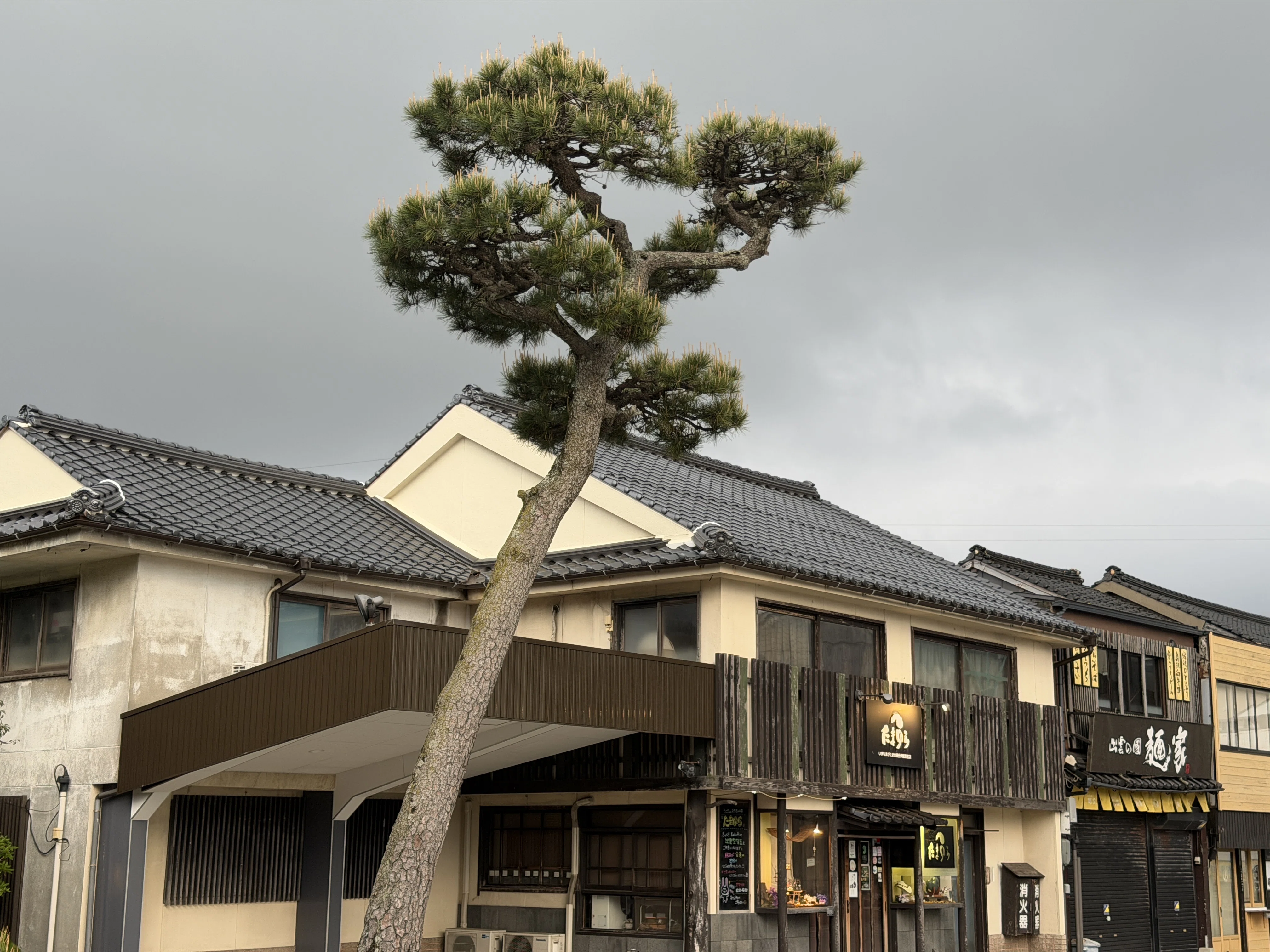 島根半島をゆく⑦】 「出雲大社と稲佐の浜」 ～オオモノヌシは