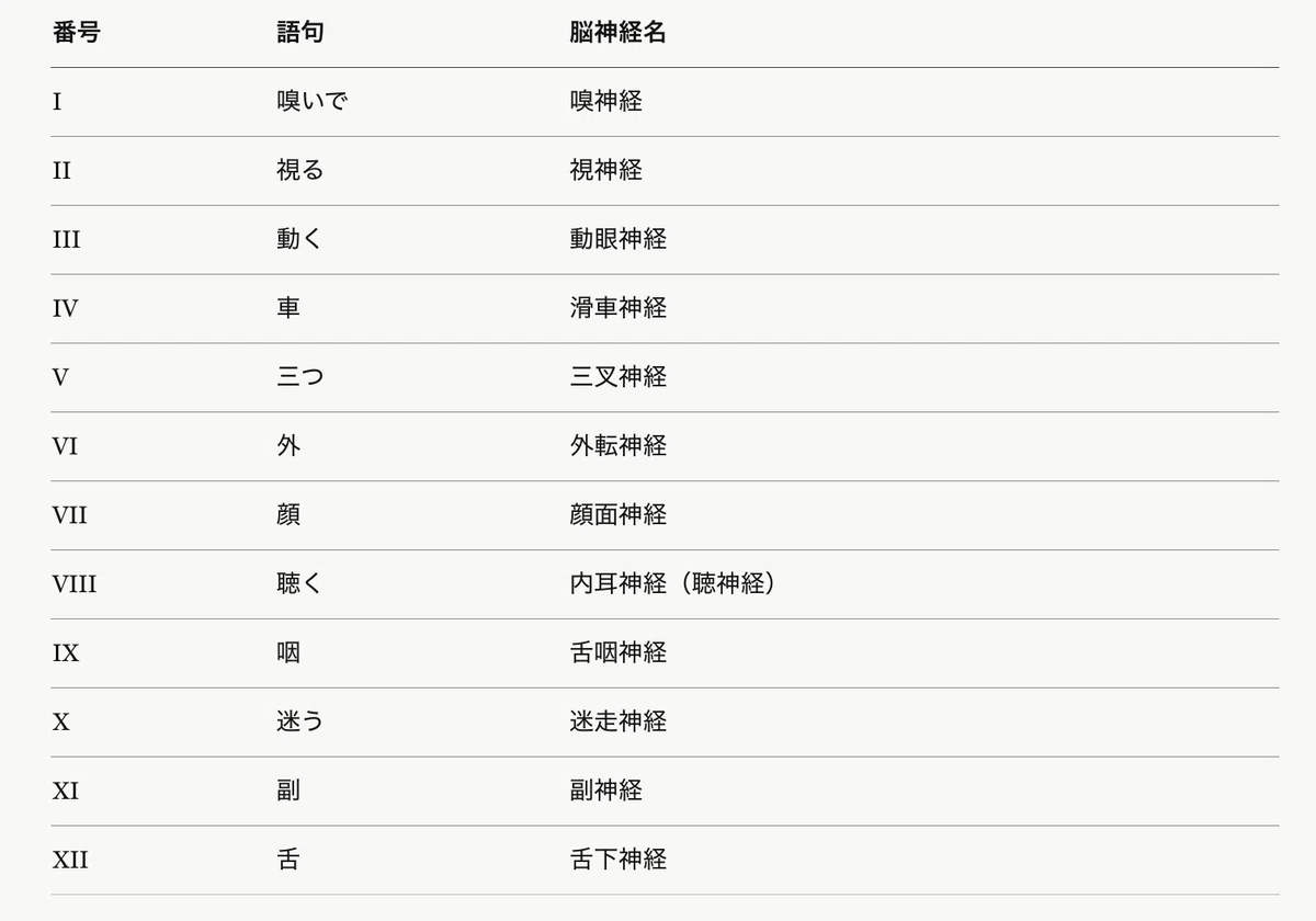各語句と脳神経の名称