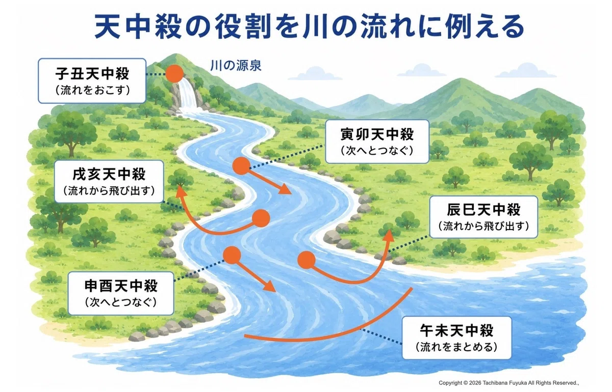 【算命学】天中殺の種類と、それぞれの役割|迷える40代と算命学|橘 冬華
