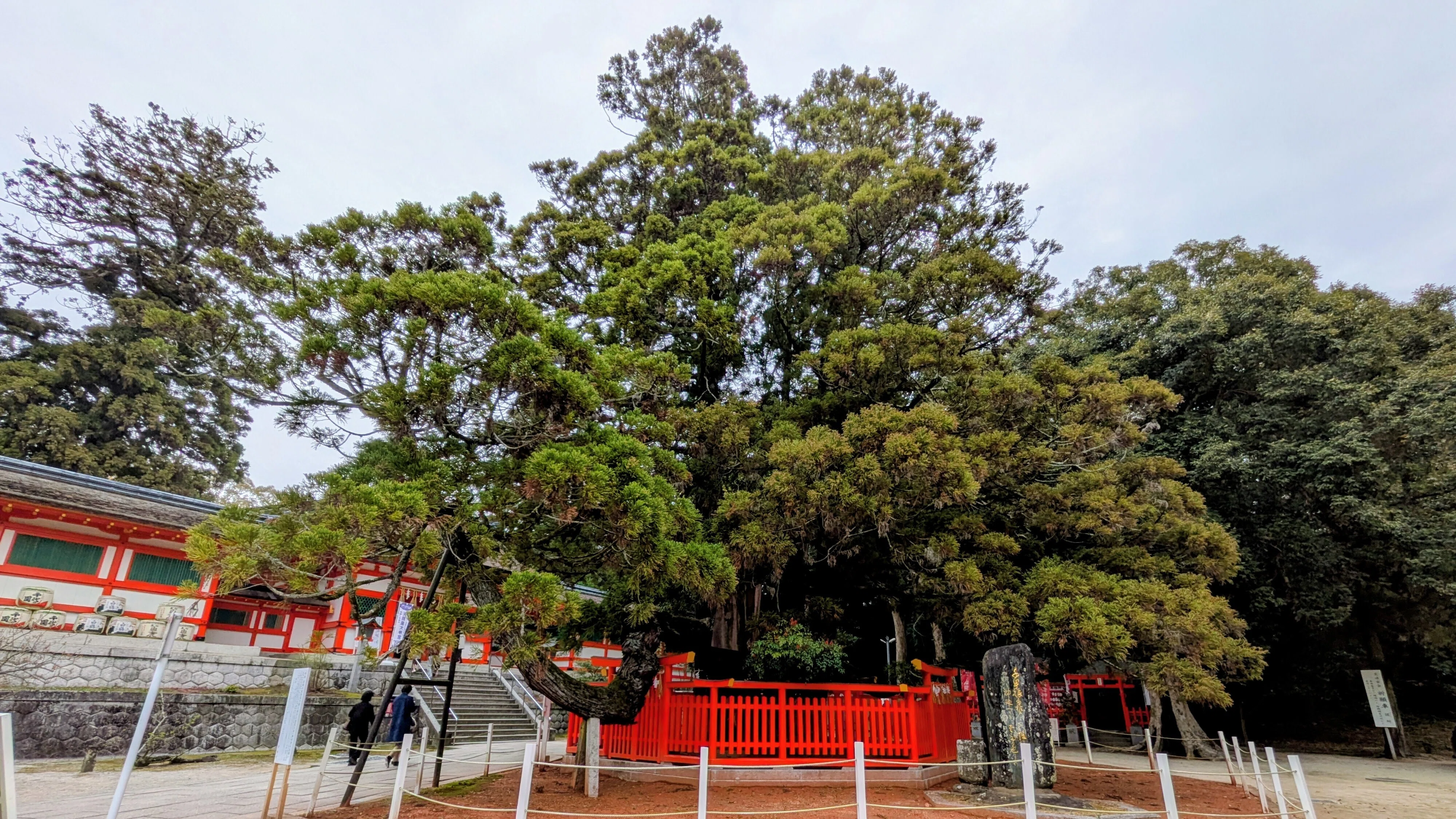 keiko随想】春の香椎宮参拝記🌸神功皇后の御魂が宿る社へ⛩️｜kekko