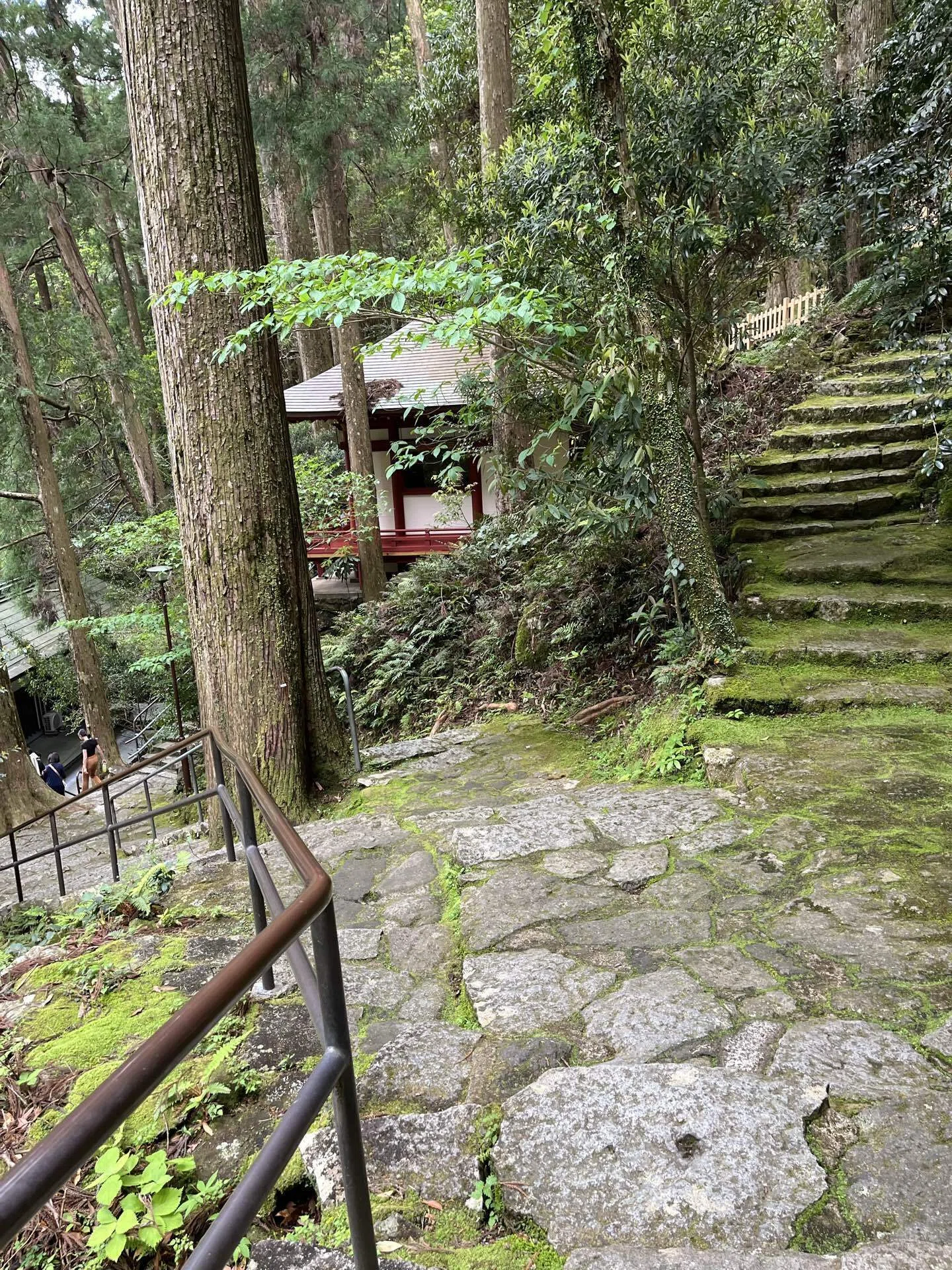 百聞は一見に如かず （熊野への道③）｜李李蘭