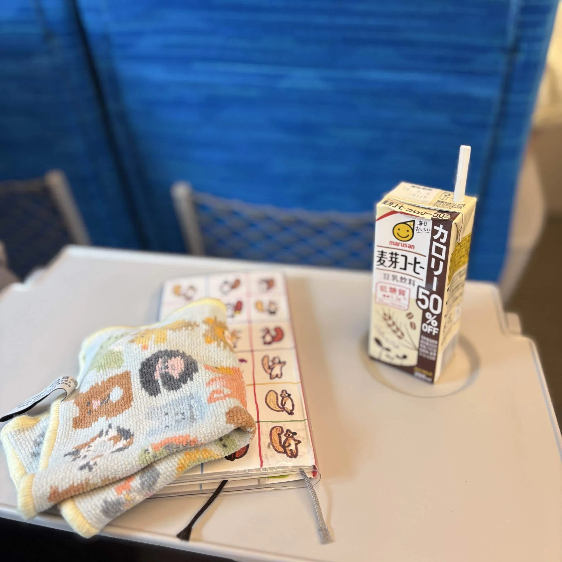 221 【リアル体験談】家計簿で14万削減！？｜めぐり｜旦那オタク歴20年