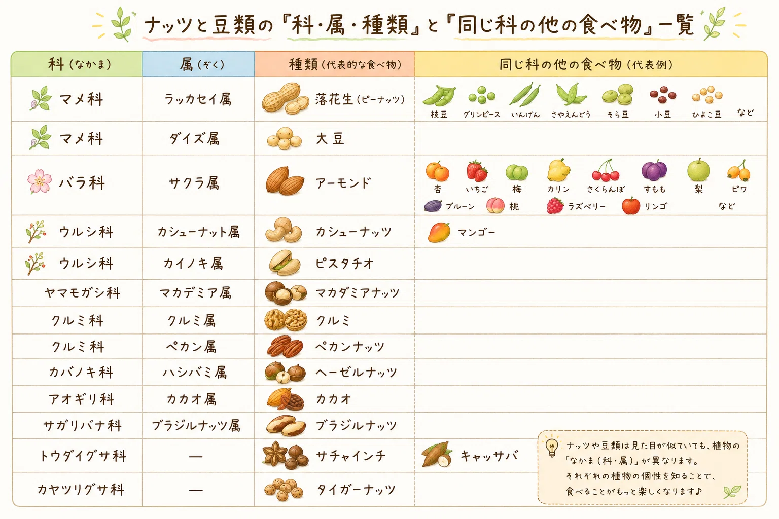 ナッツアレルギーがある人が知っておくべきこと【食べていいナッツ 