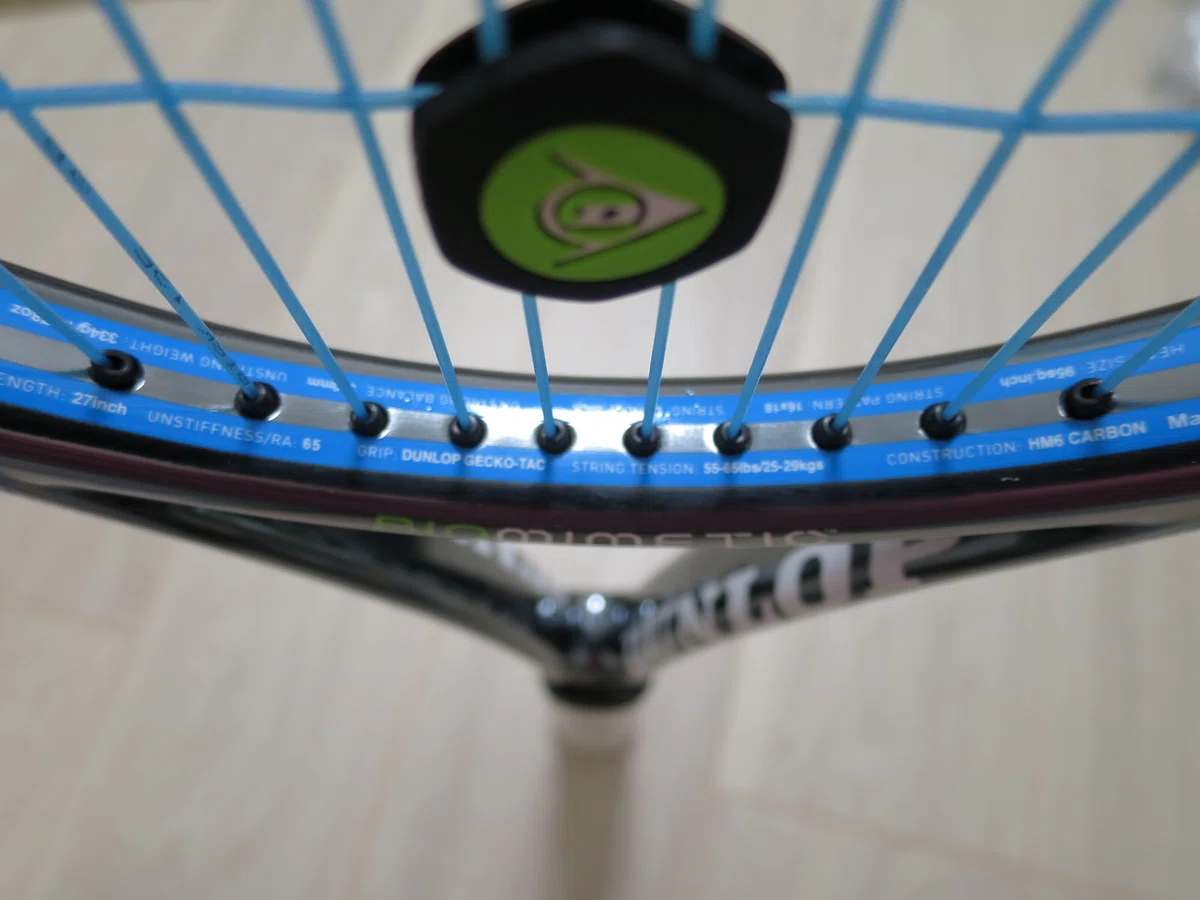Dunlop Biomimetic 200｜ナナシノナカムラ