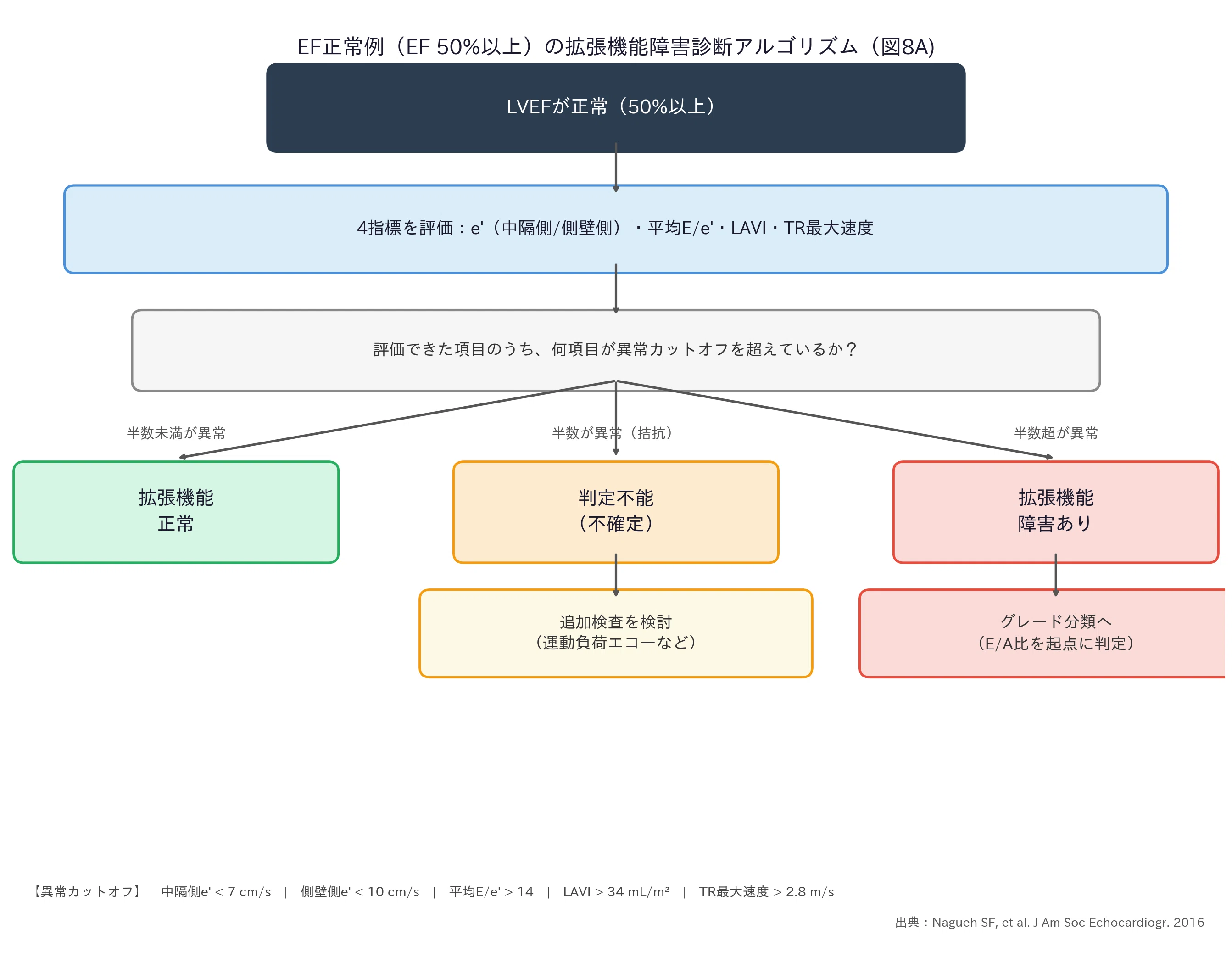 心機能とその指標 今さら聞けない心エコー：拡張機能評価の仕組みと臨床的な意味｜ハル