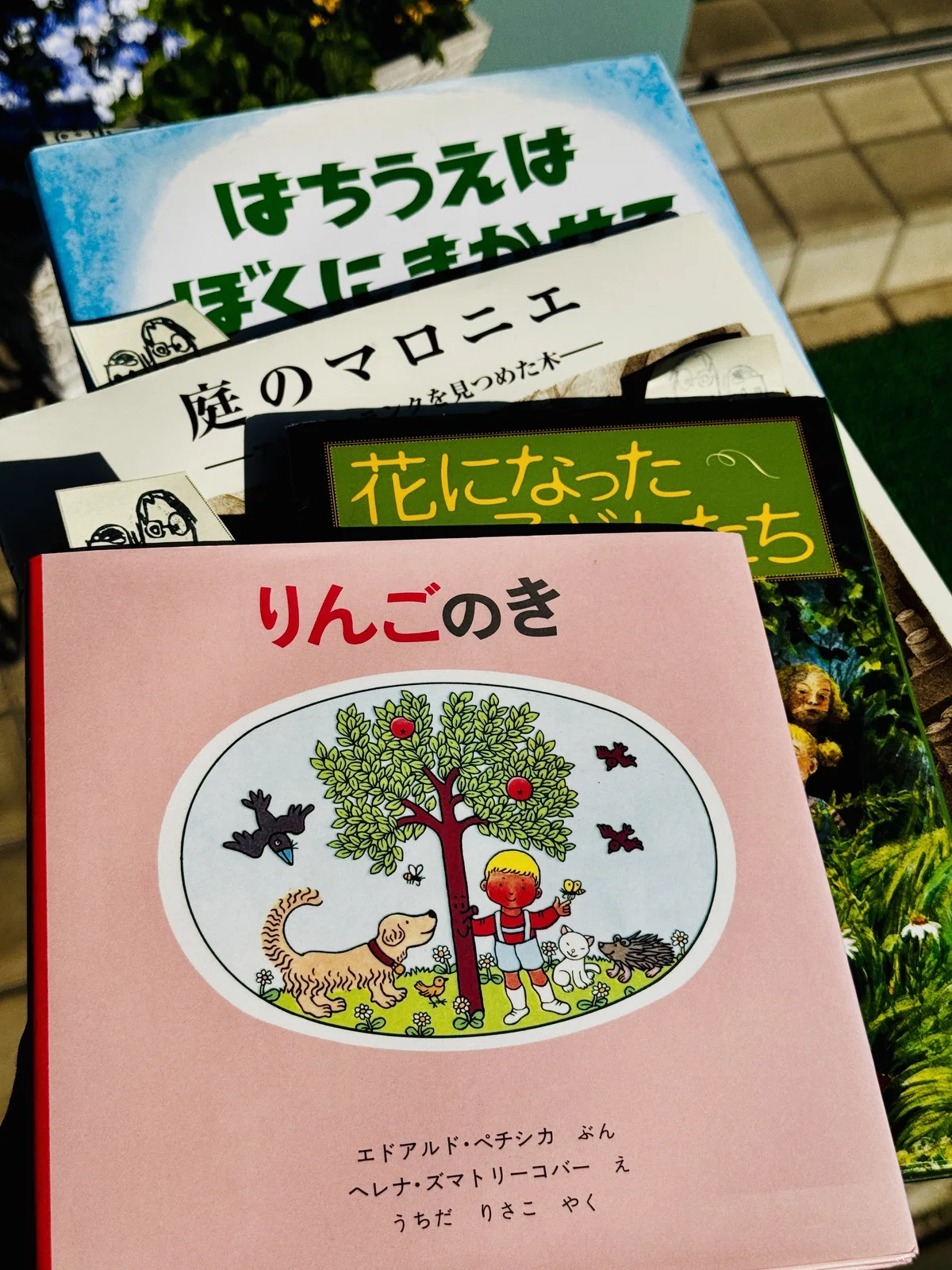 追加した絵本『りんごのき』『花になった子どもたち』『庭のマロニエ』『はちうえはぼくにまかせて』
