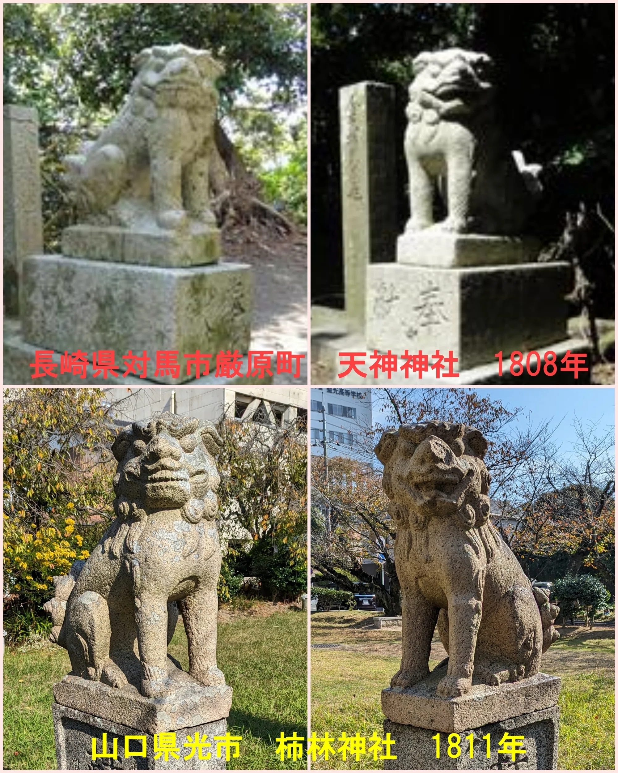 山口と対馬を結ぶ狛犬｜藤井克浩