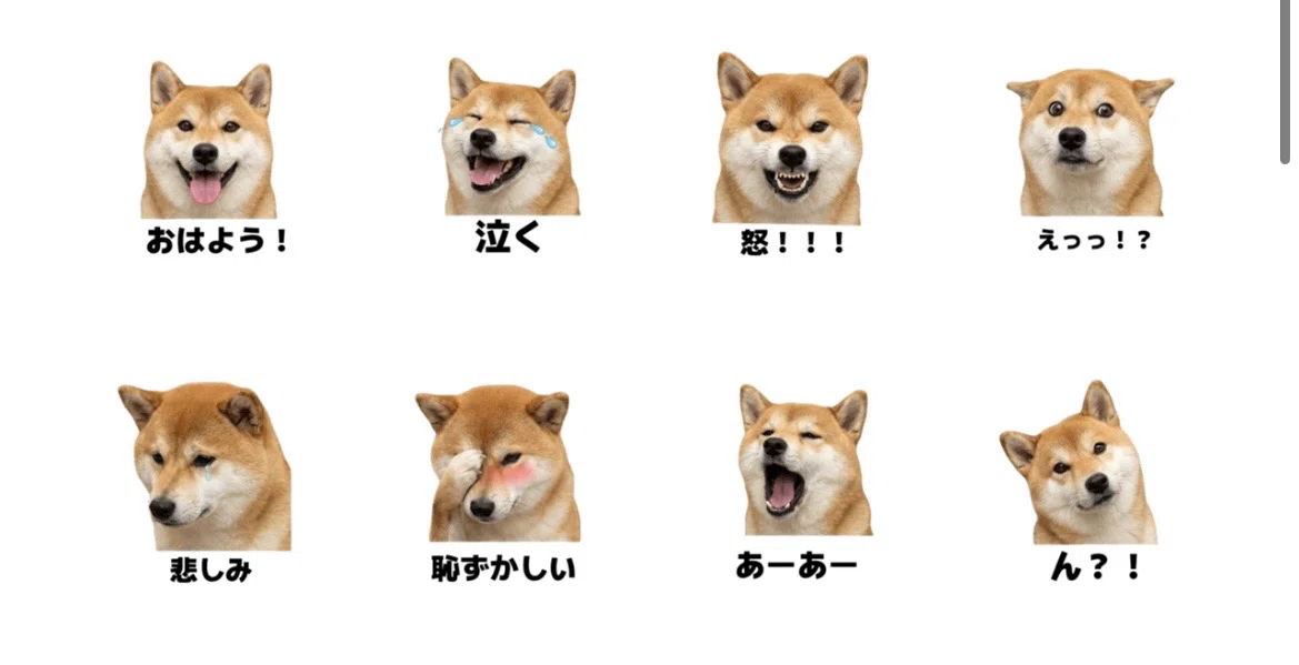 LINE絵文字】この顔、送りたくなる？！リアル柴犬「ラブちゃん」の